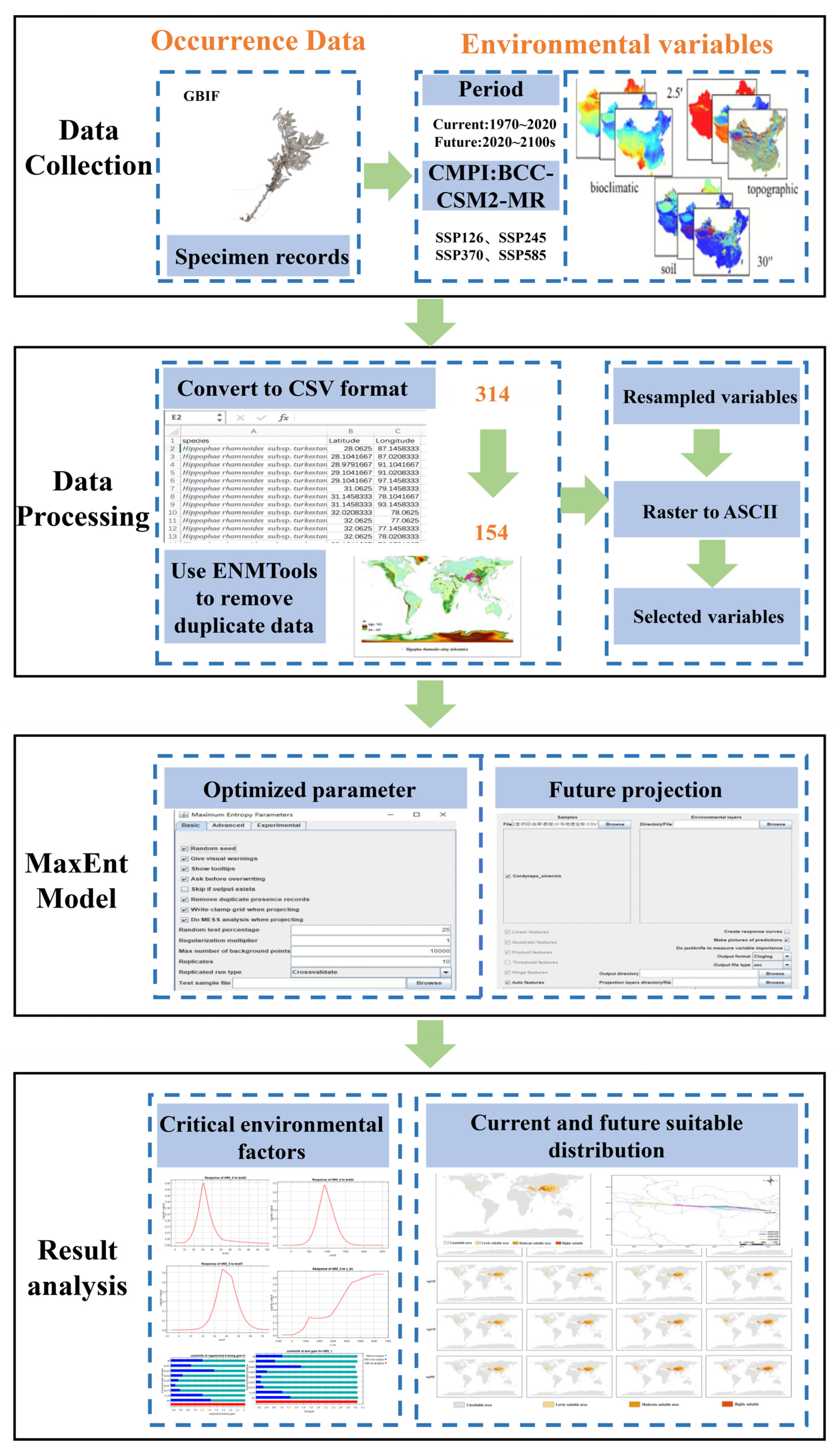 Forests 16 00468 g002