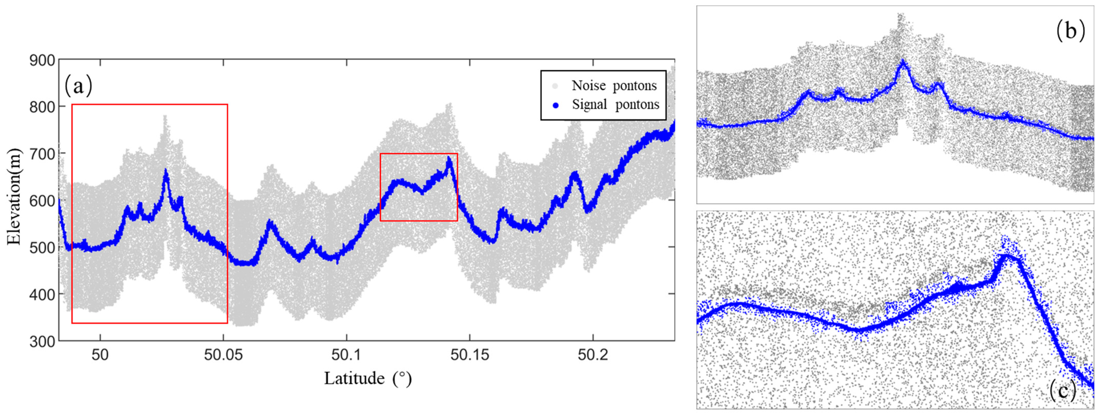 Forests 16 00524 g010