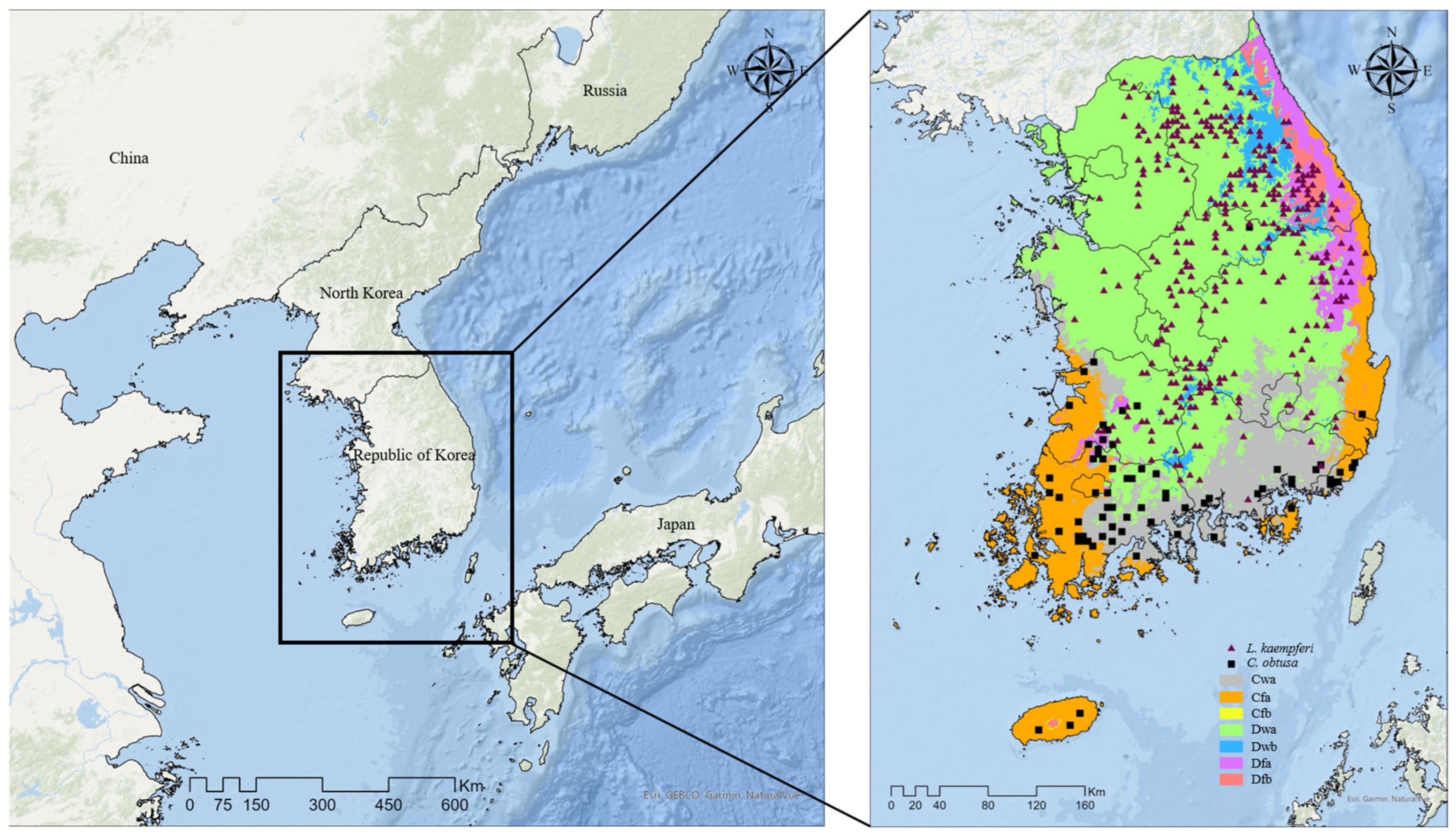 Forests 16 00530 g001 Forests 16 00530 g001
