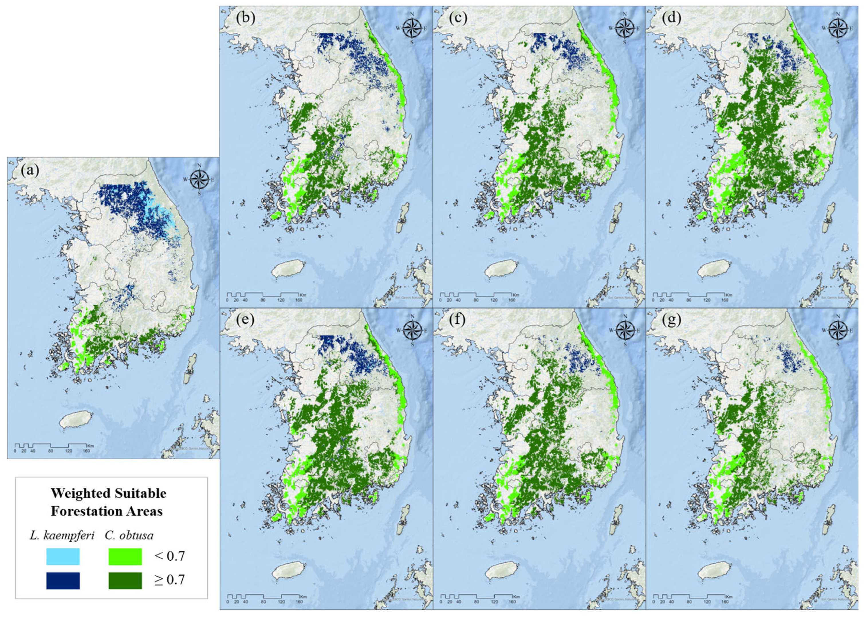 Forests 16 00530 g005 Forests 16 00530 g005