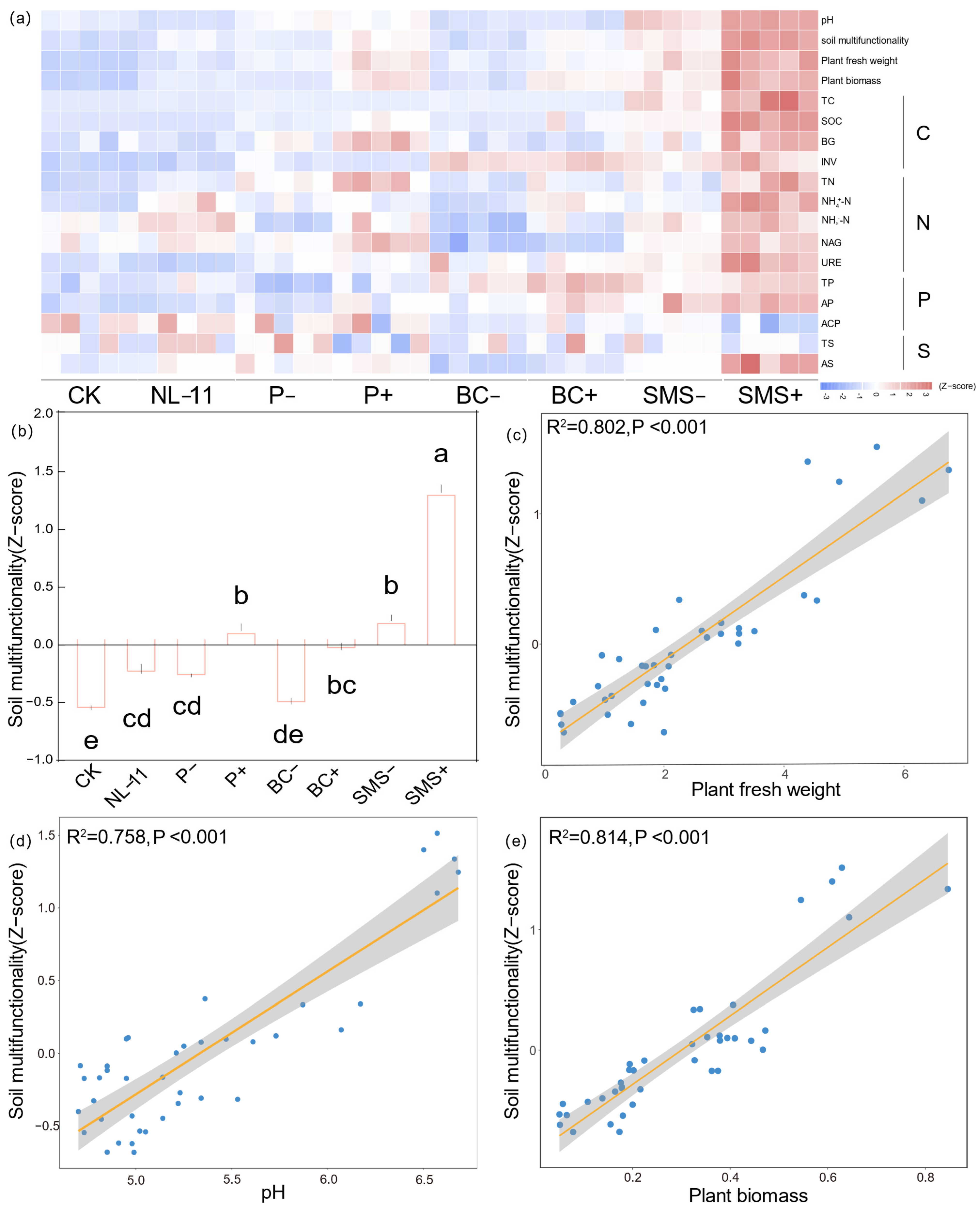 Forests 16 00539 g004