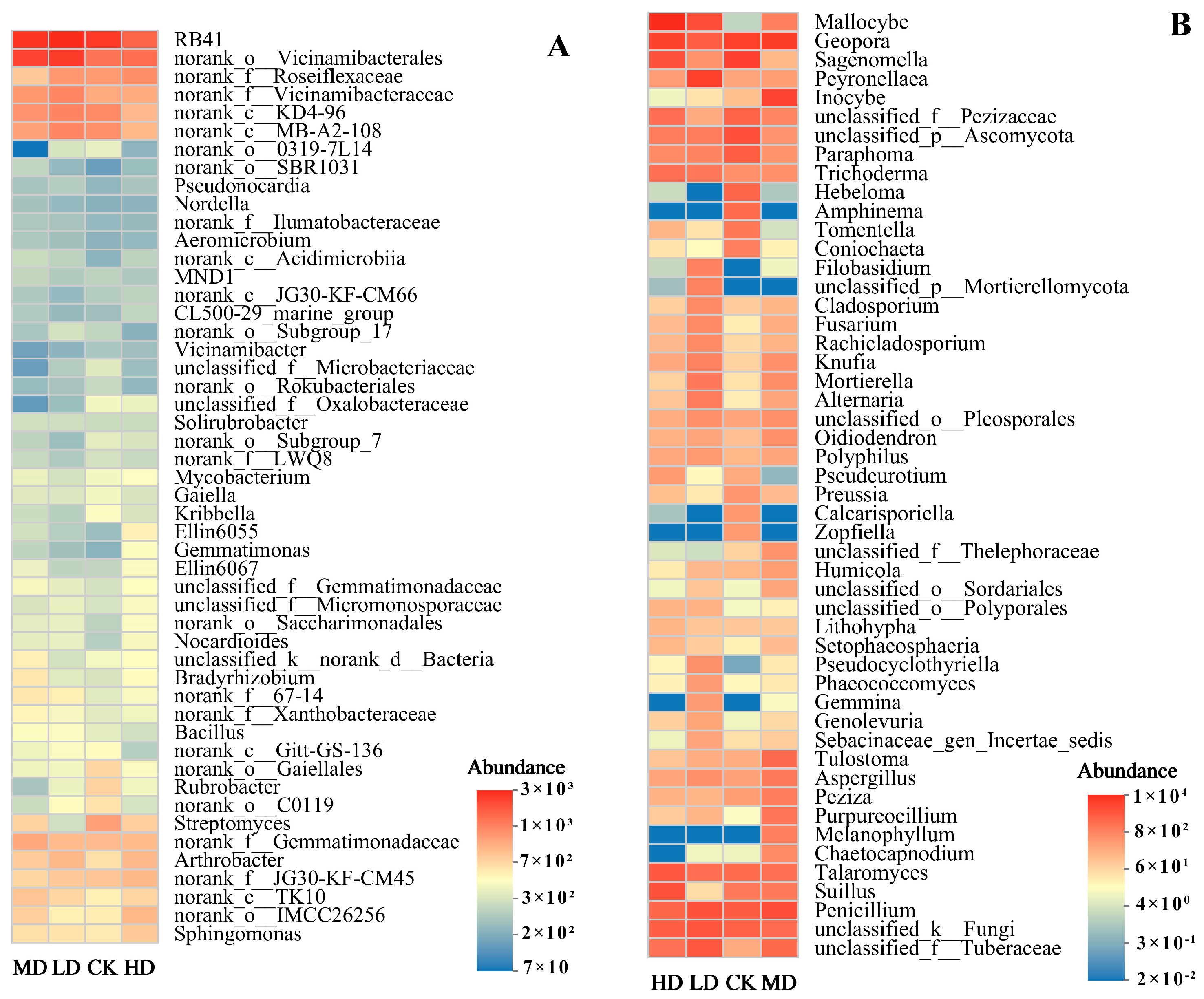 Forests 16 00547 g004