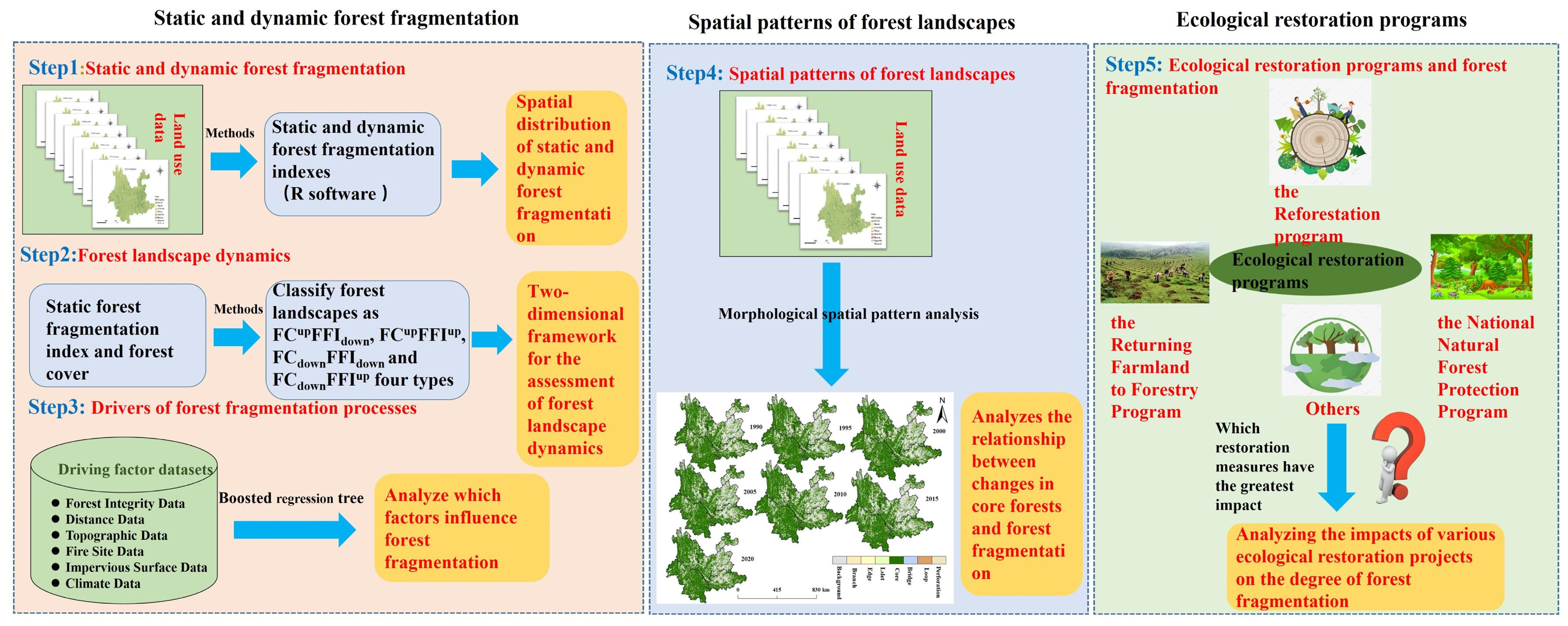 Forests 16 00571 g001