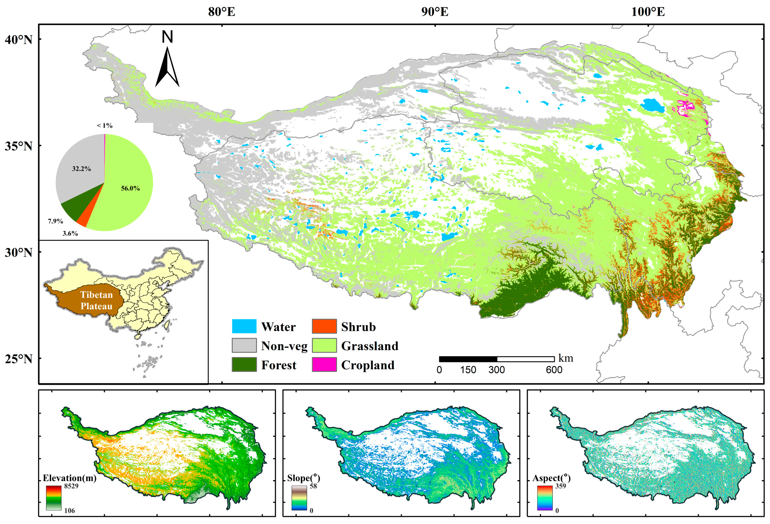 Forests 16 00576 g002