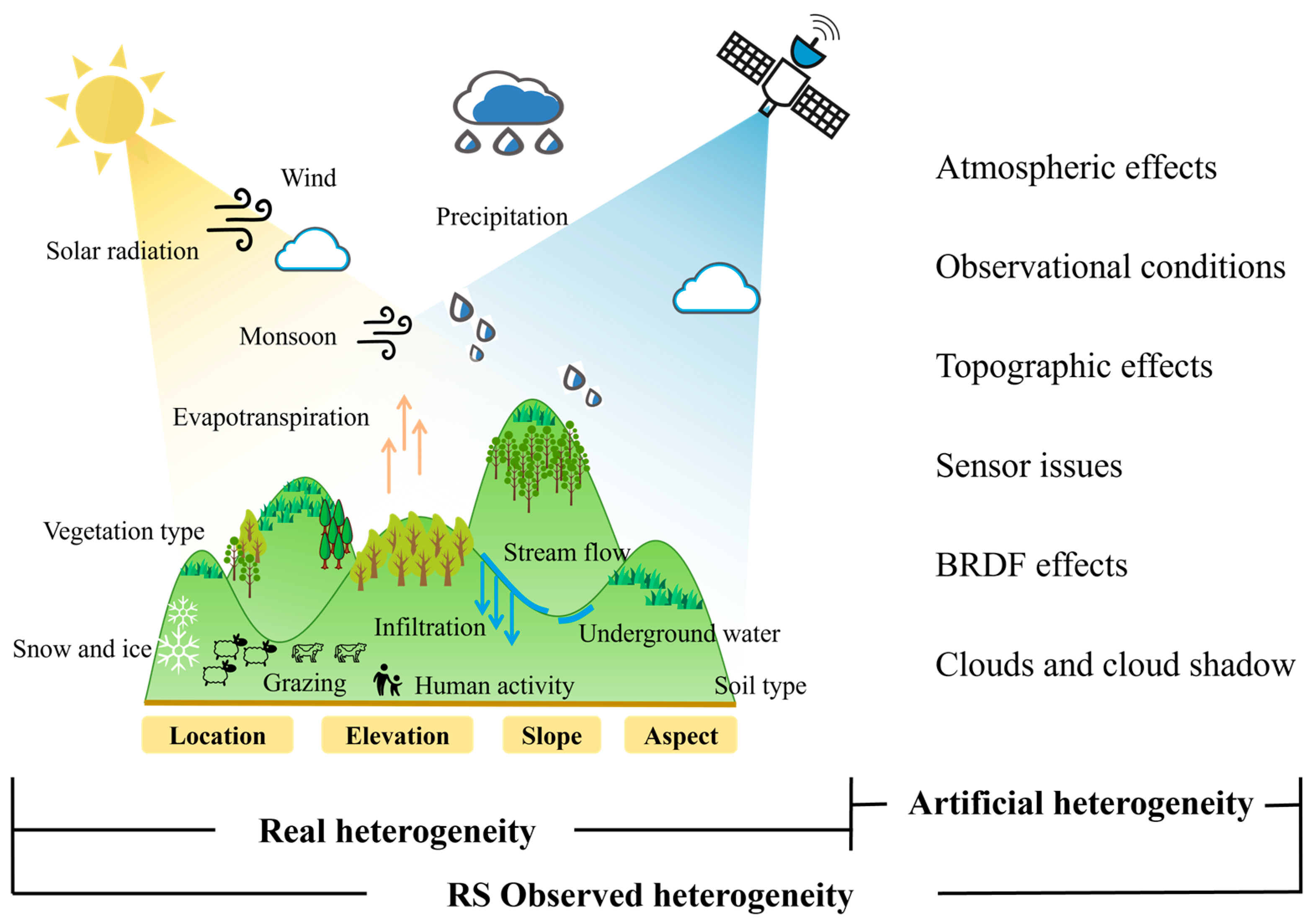 Forests 16 00576 g011