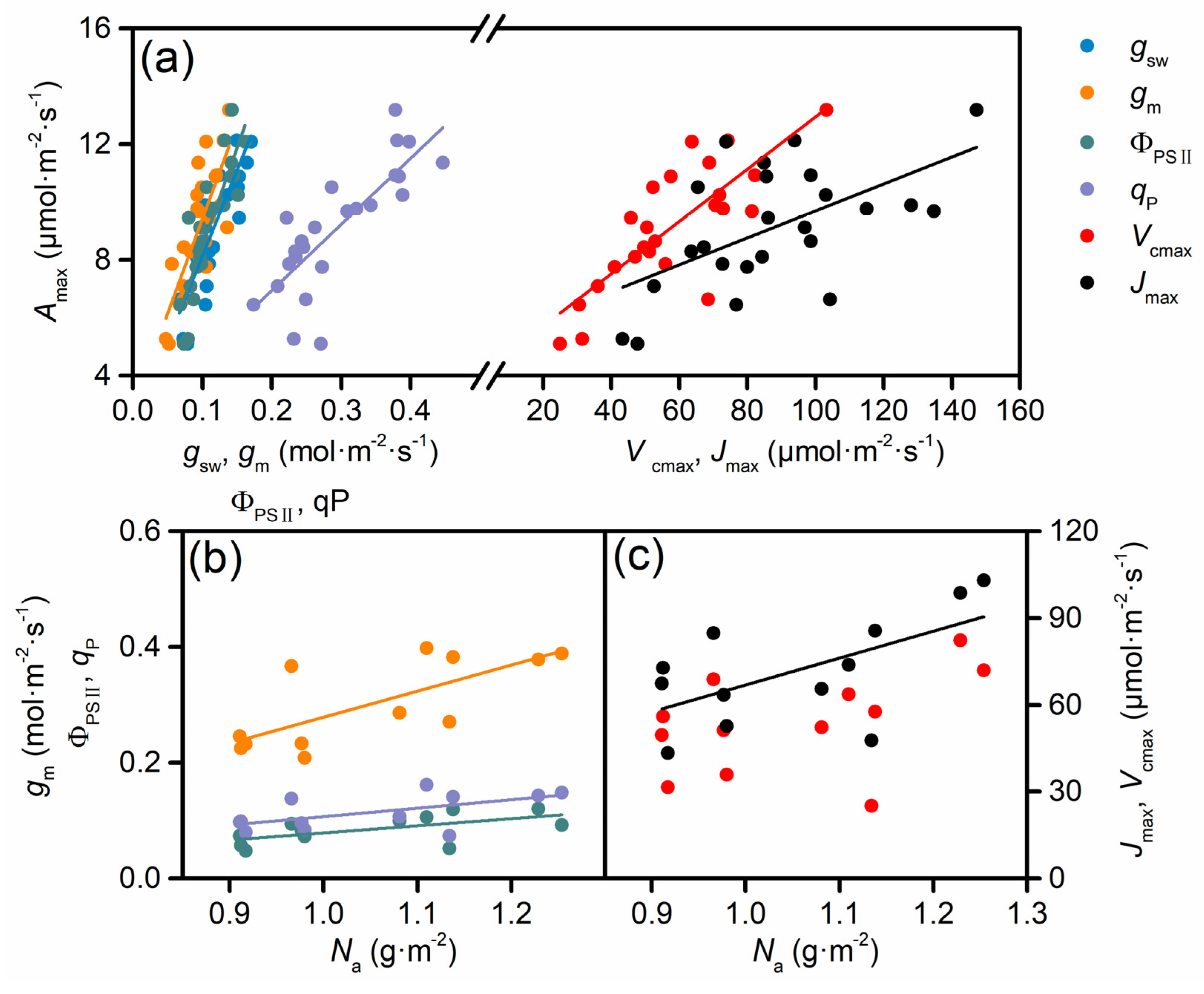 Forests 16 00581 g006