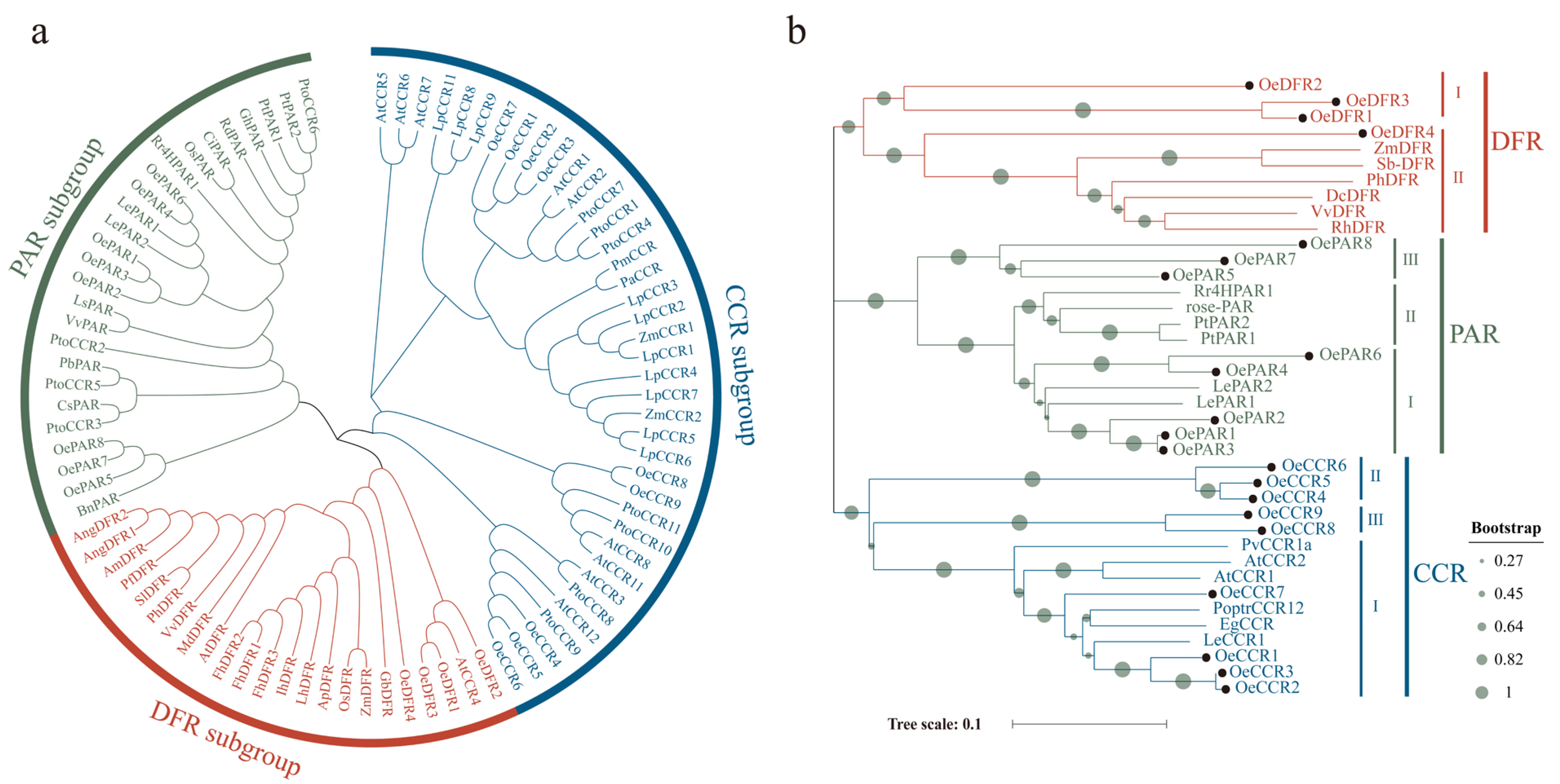 Forests 16 00630 g001
