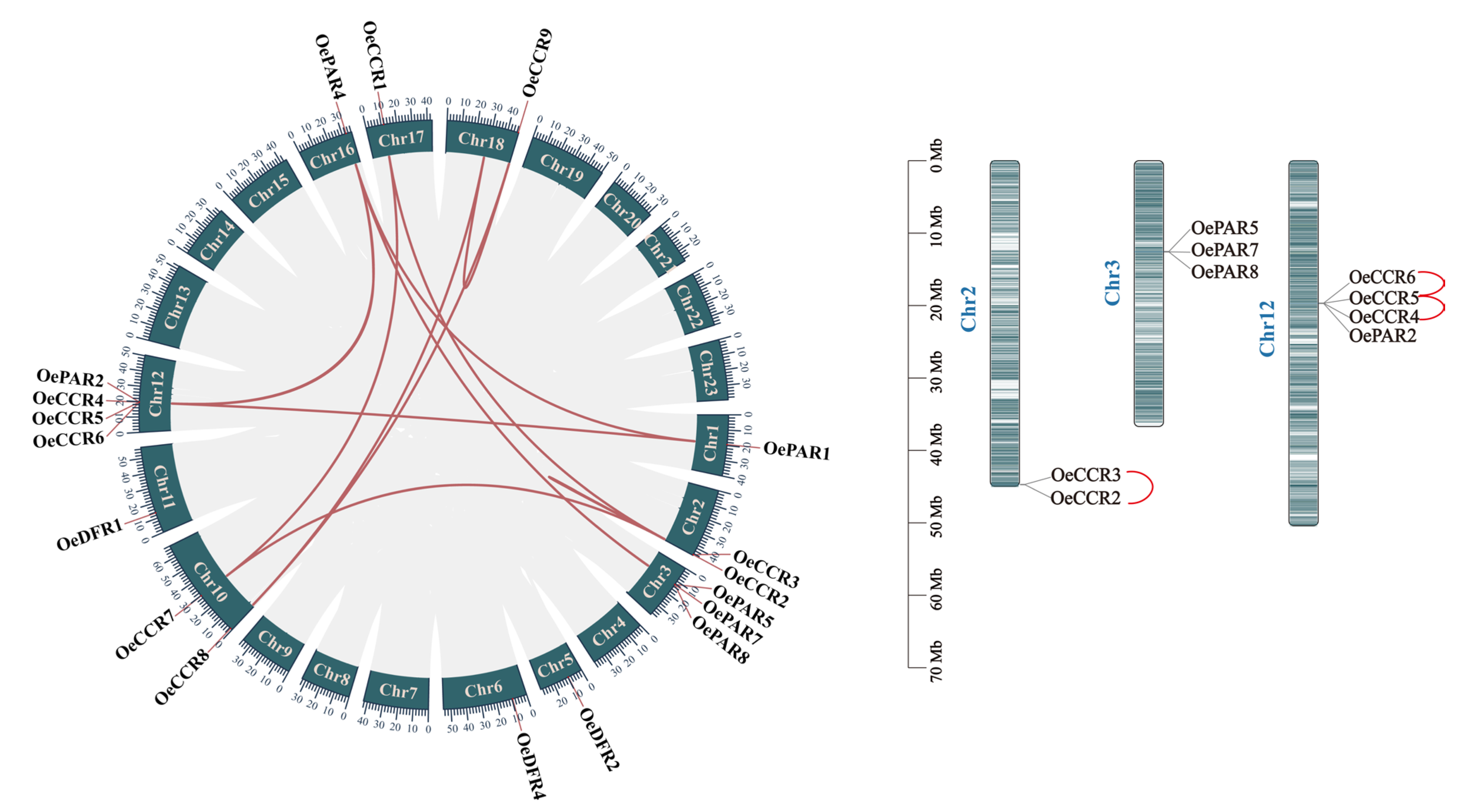 Forests 16 00630 g003