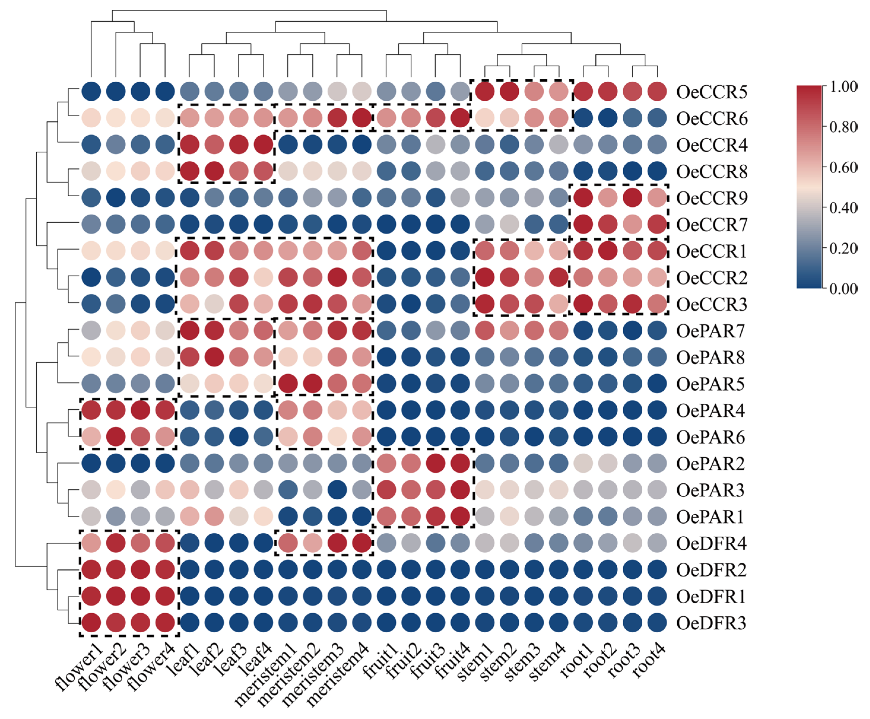 Forests 16 00630 g005