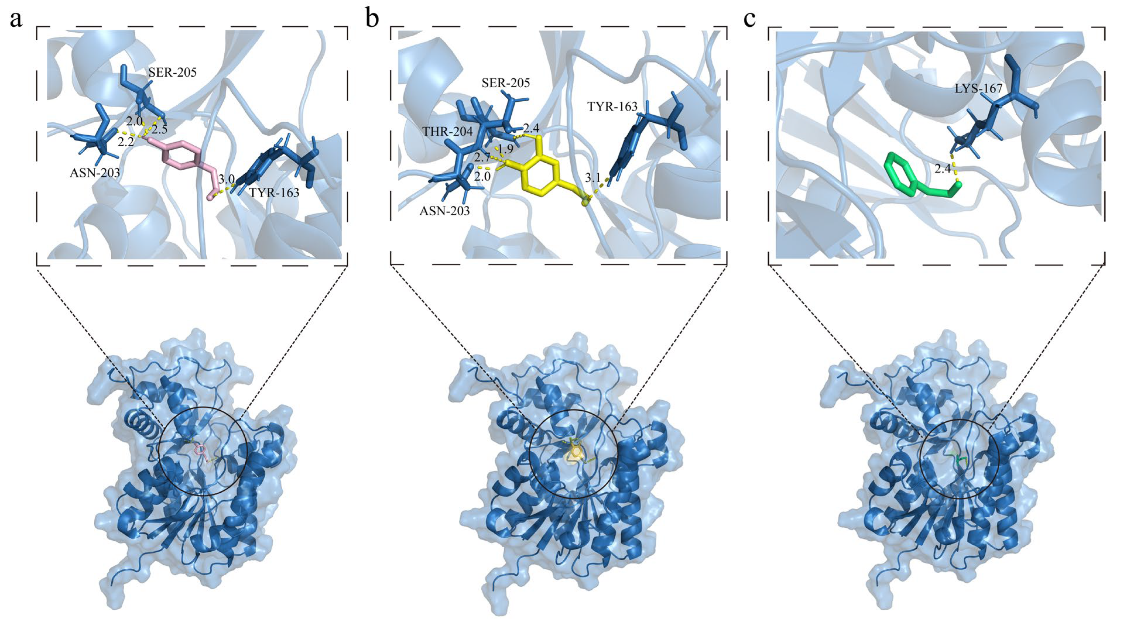 Forests 16 00630 g007