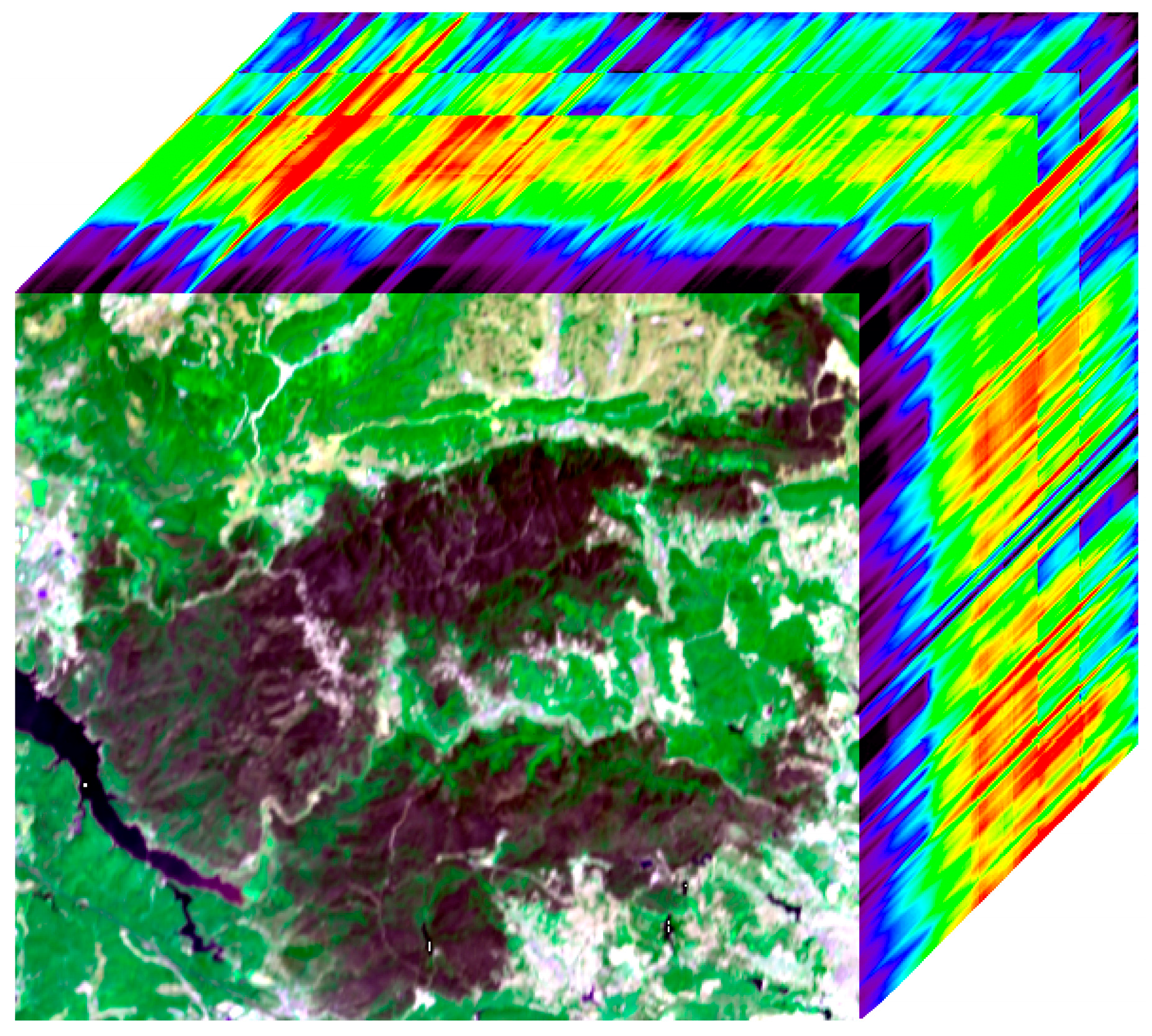 Forests 16 00640 g002