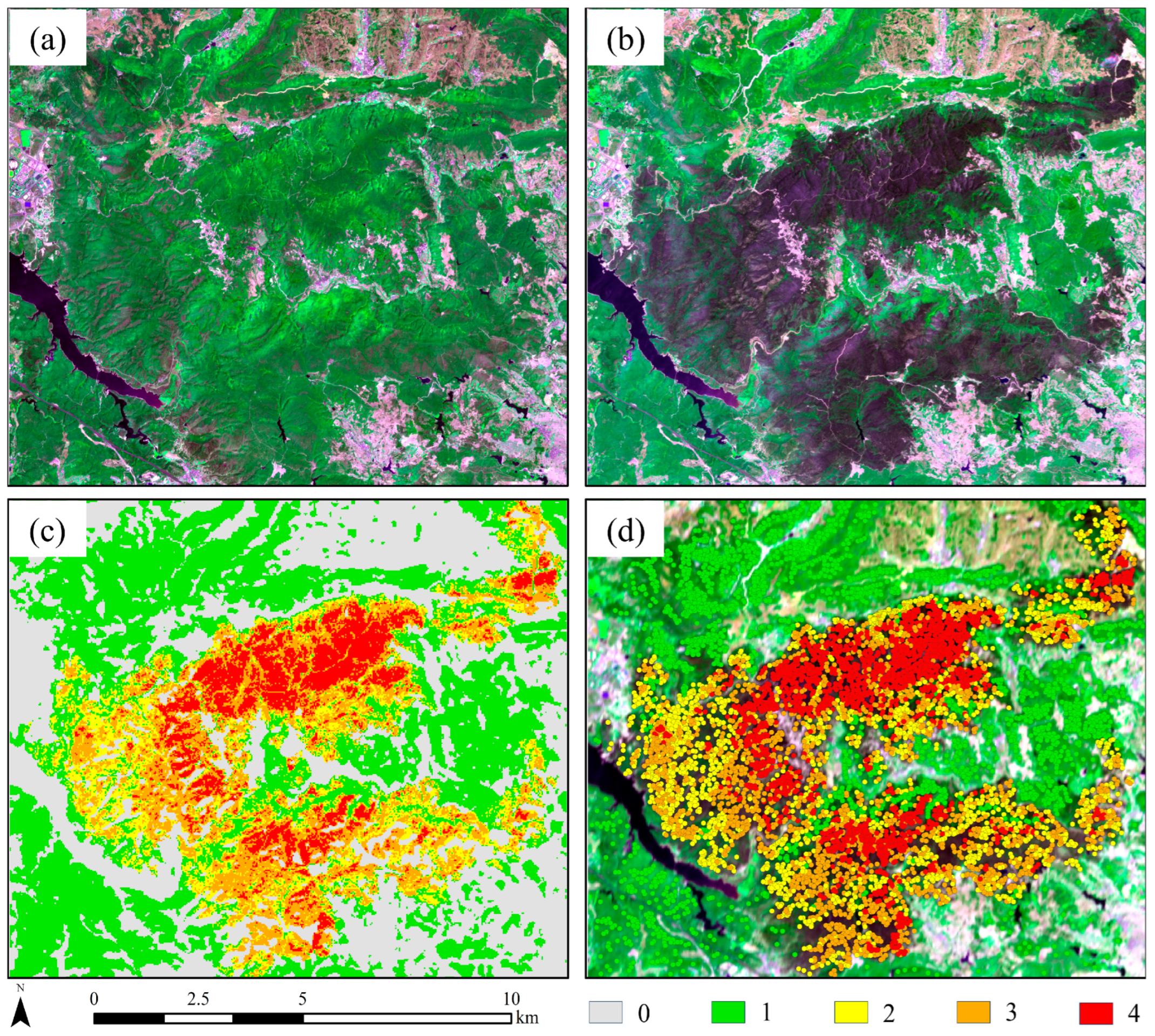 Forests 16 00640 g004