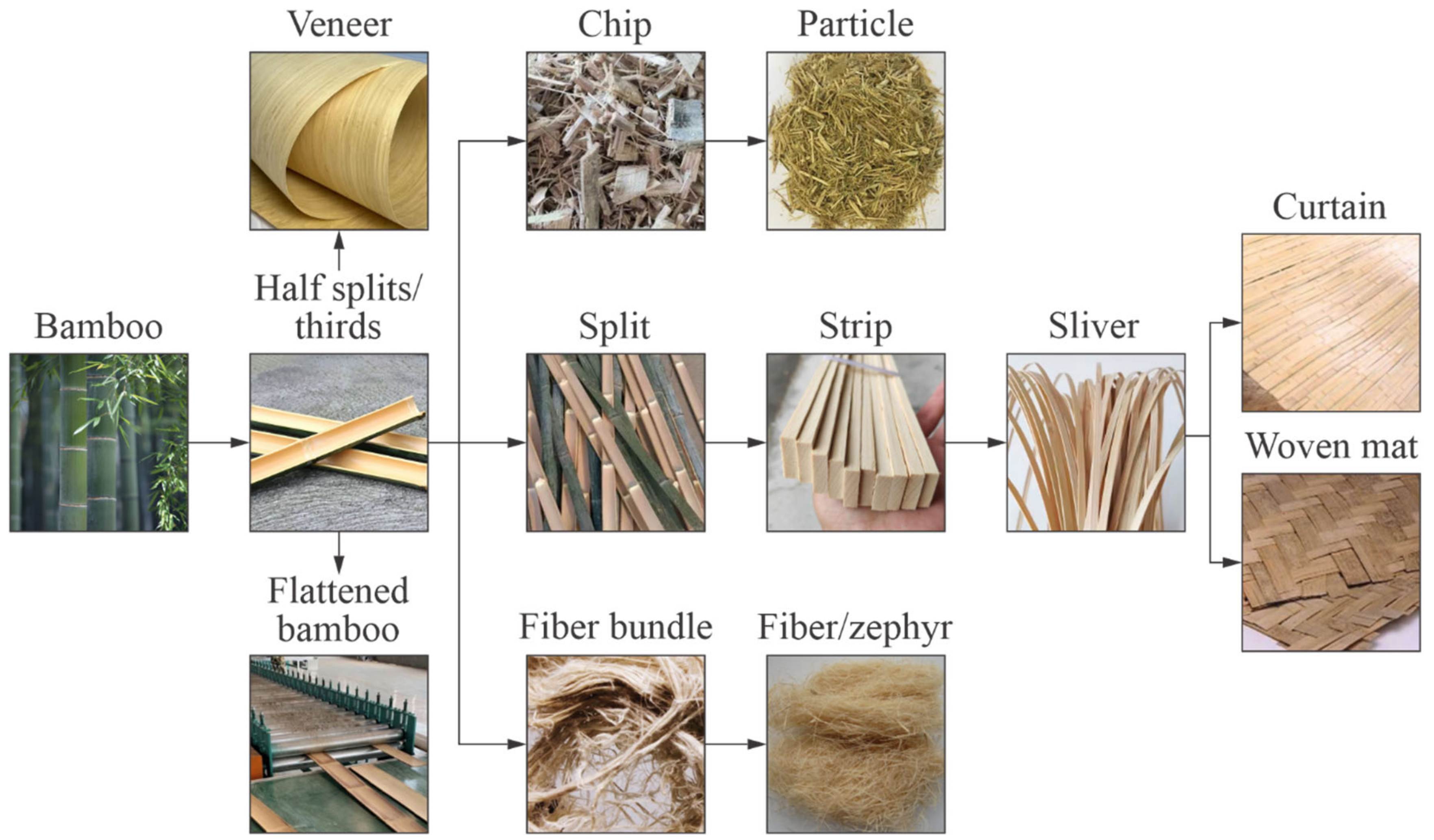 Forests 16 00662 g003