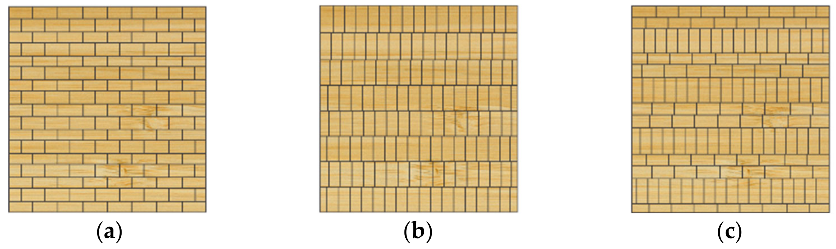 Forests 16 00662 g004