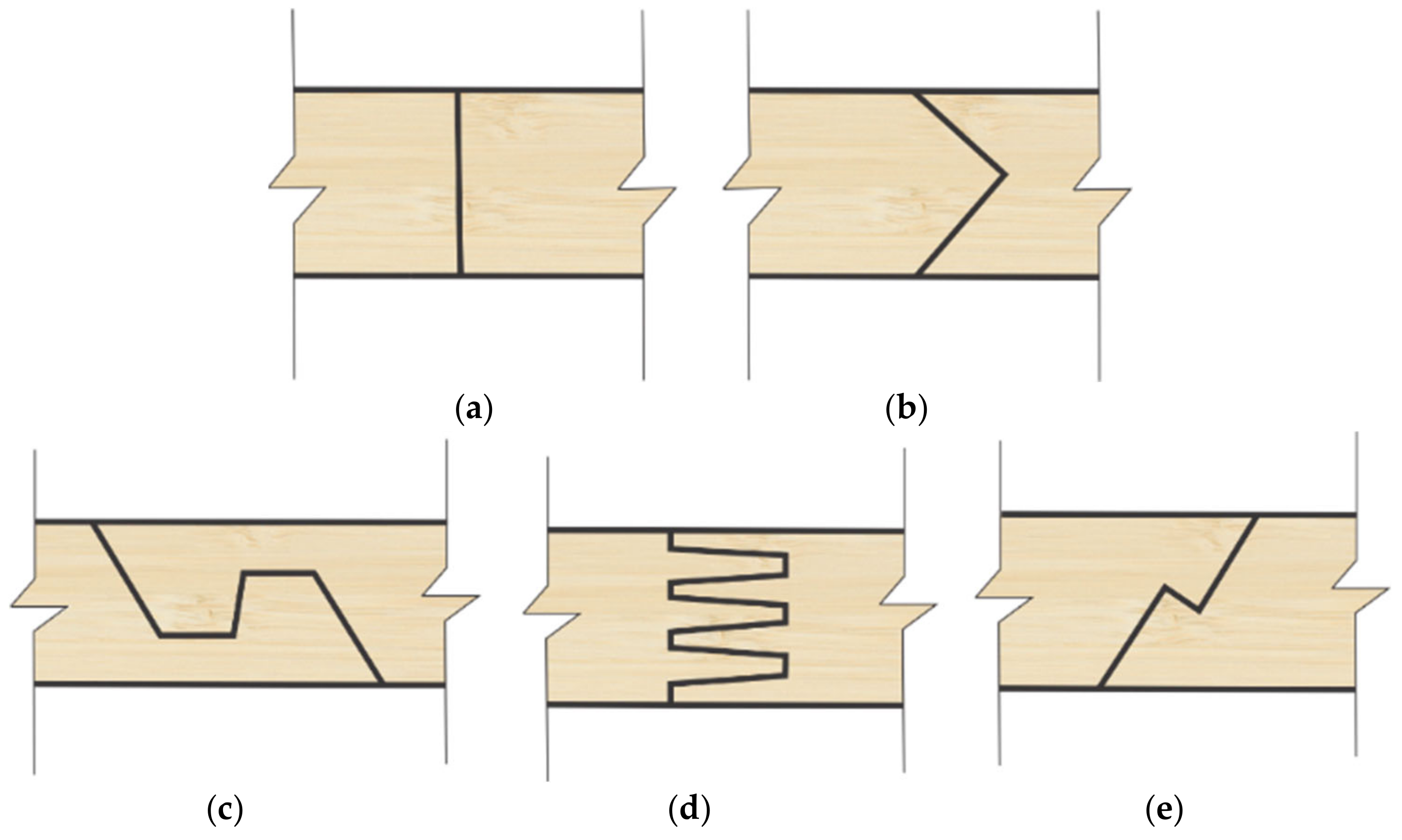 Forests 16 00662 g005