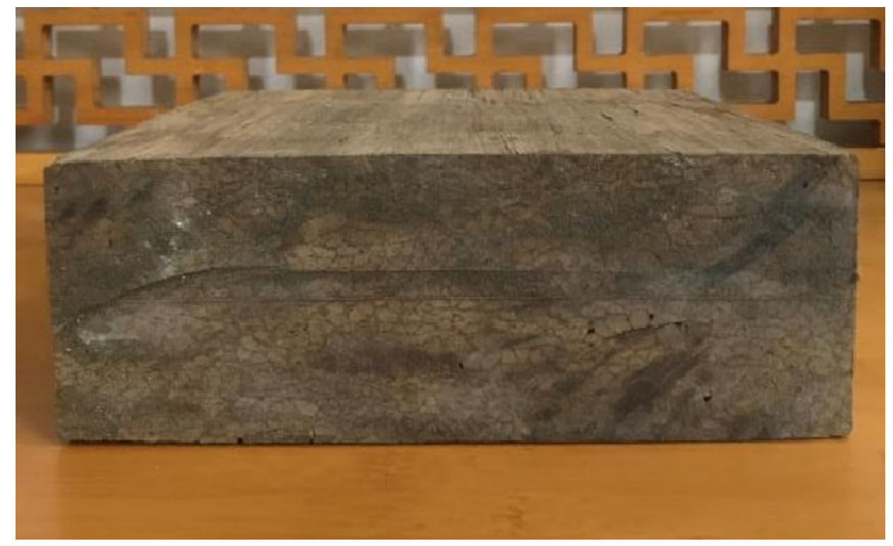 Forests 16 00662 g009