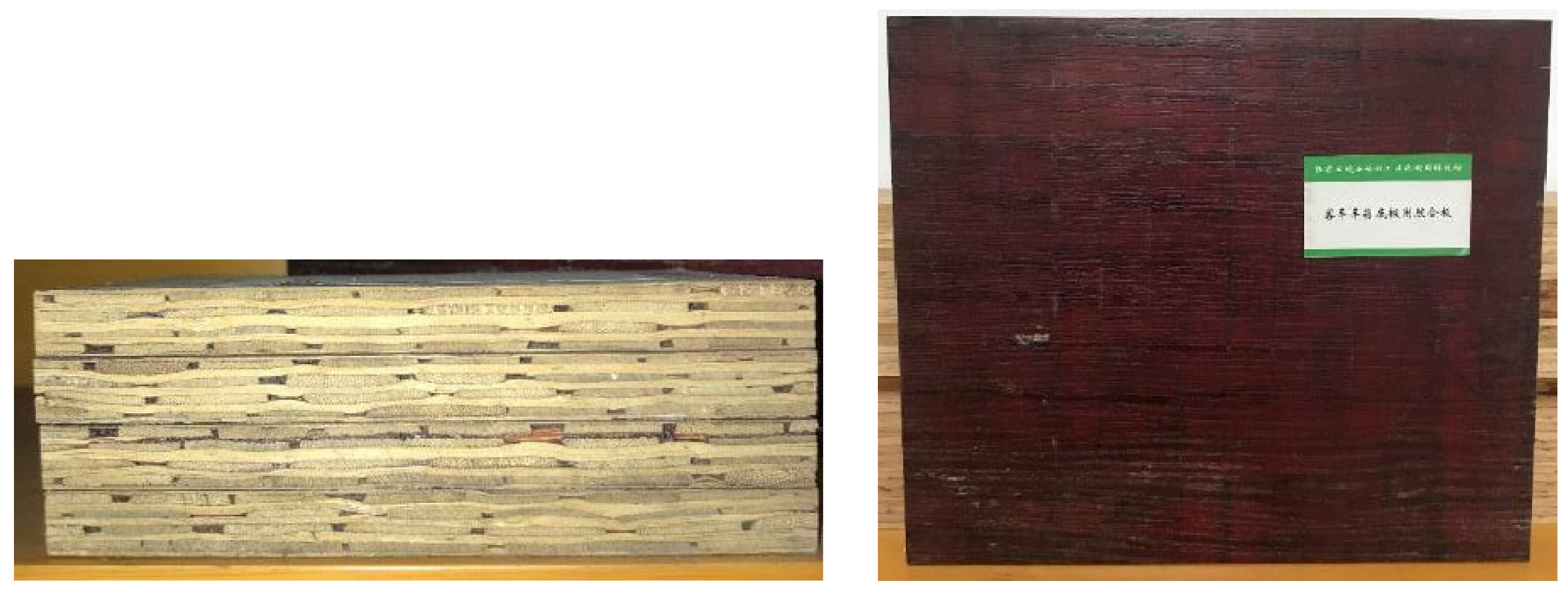 Forests 16 00662 g010