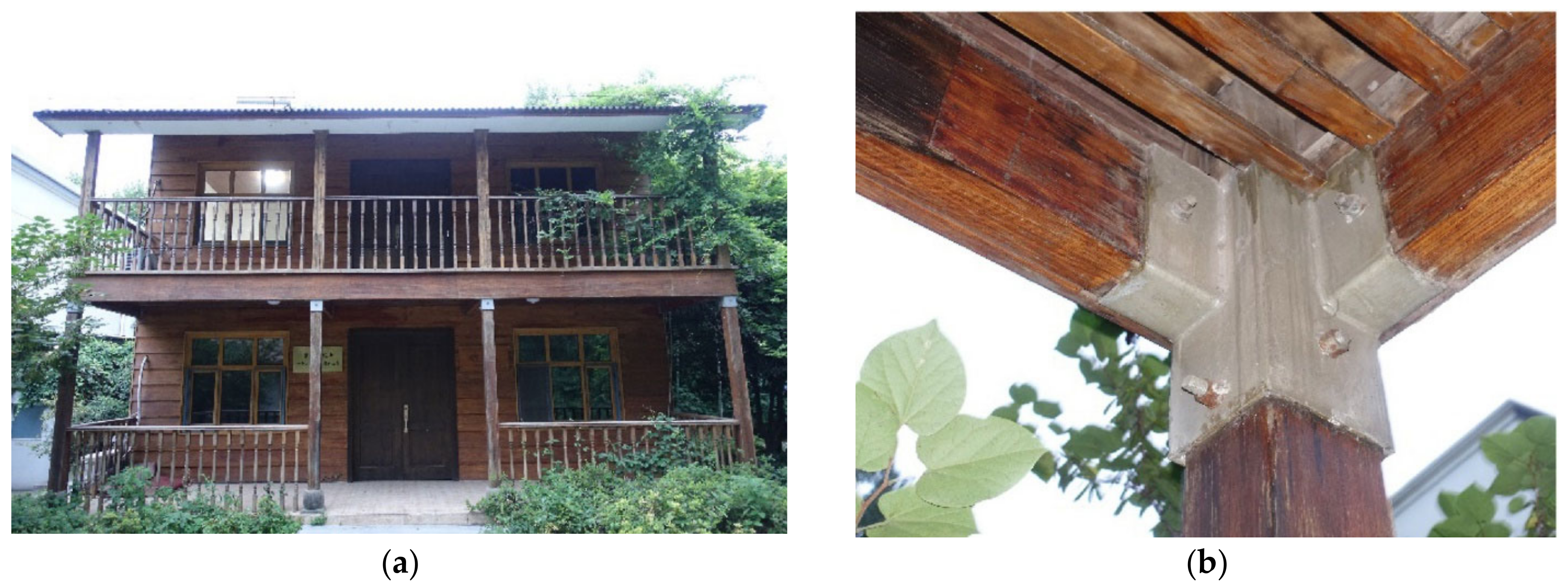 Forests 16 00662 g013