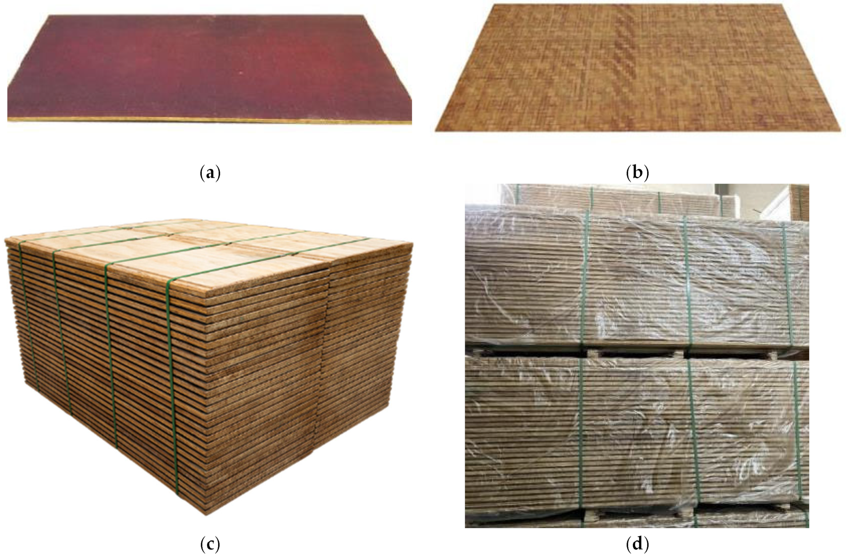 Forests 16 00662 g019