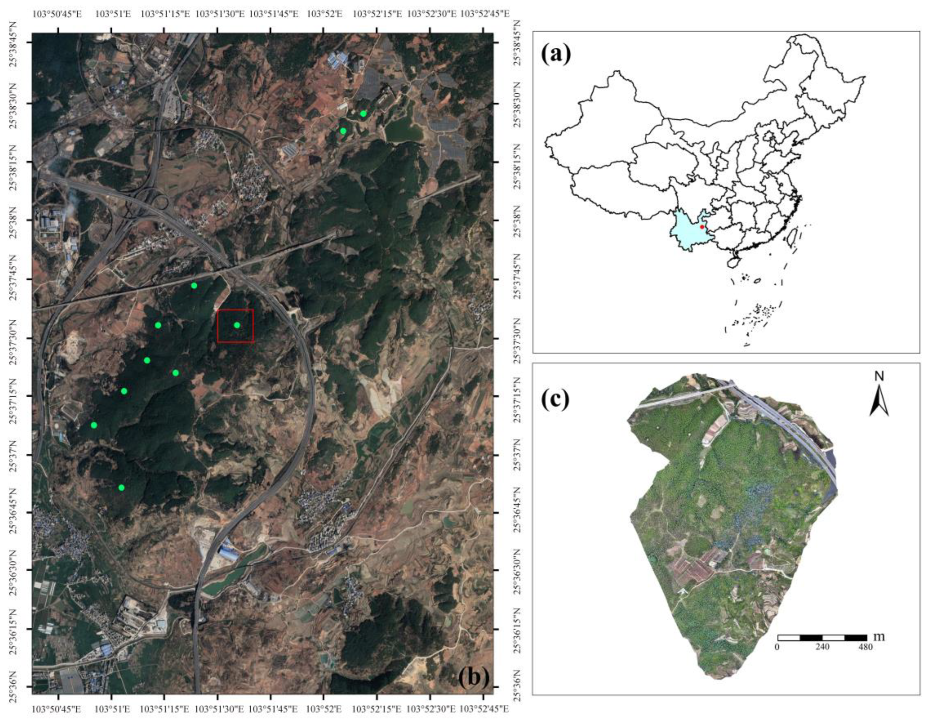 Forests 16 00668 g001
