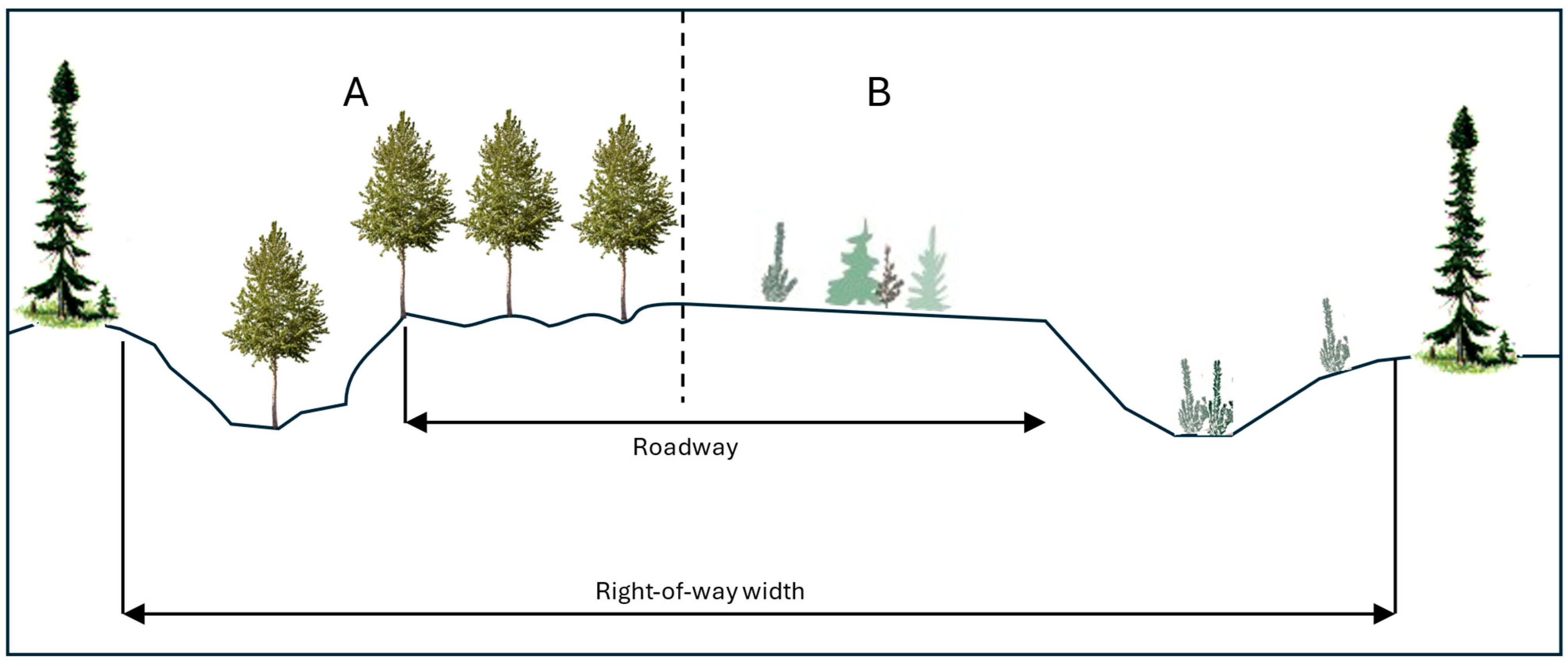 Forests 16 00688 g004