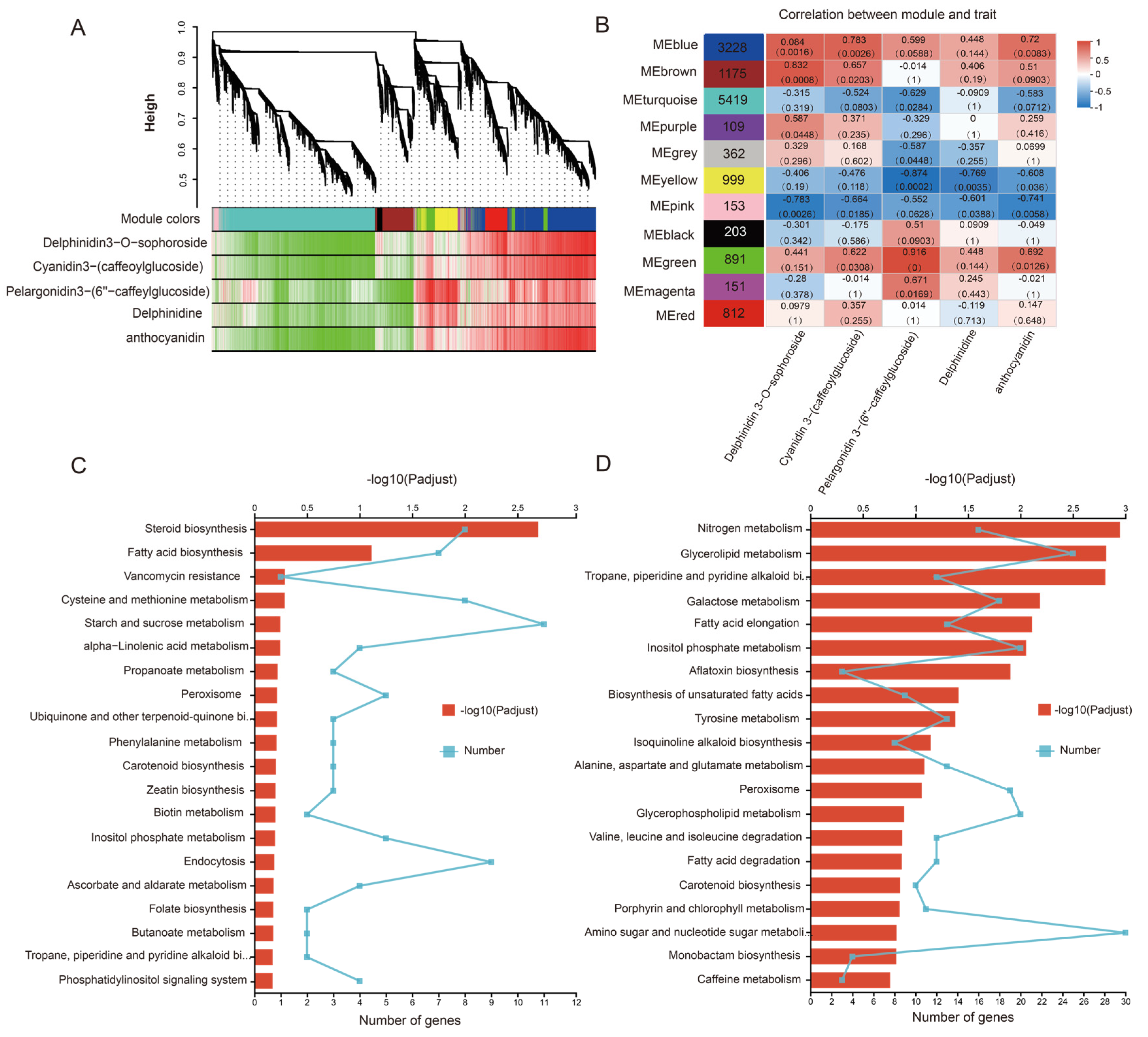 Forests 16 00691 g004