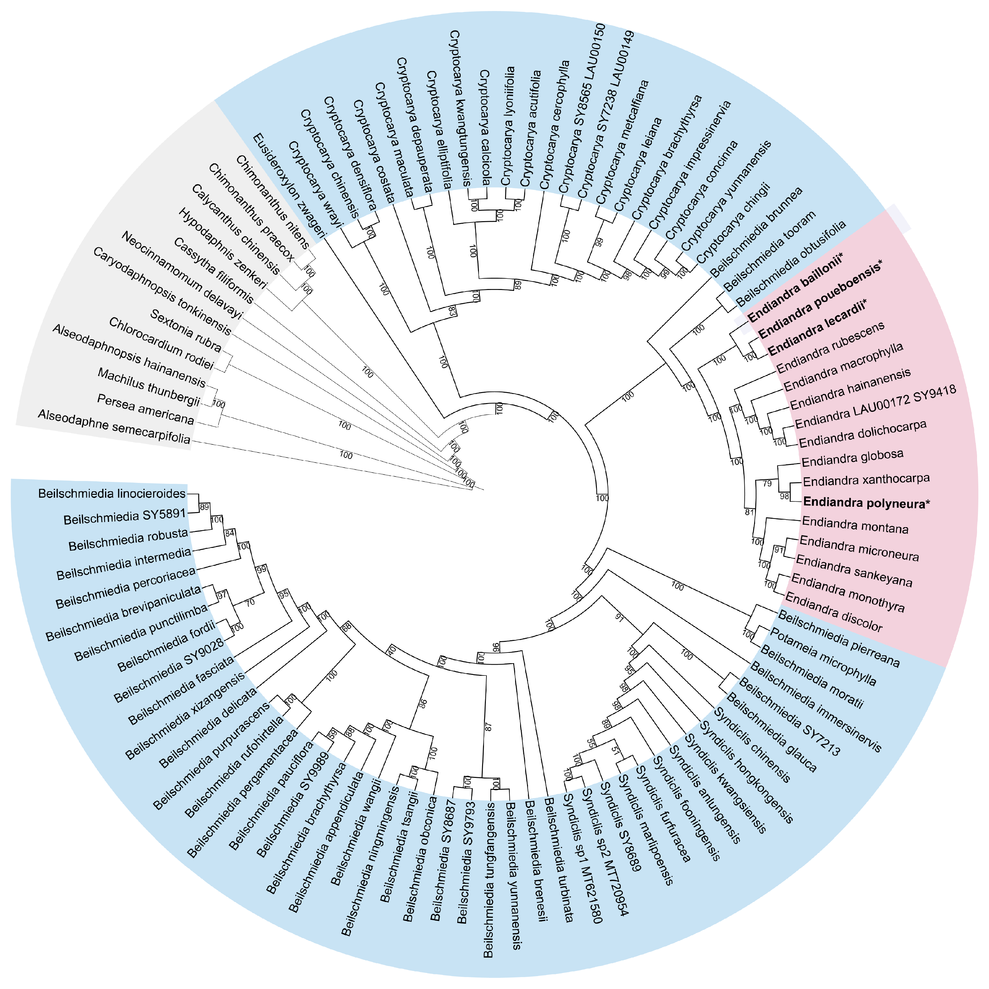 Forests 16 00705 g002