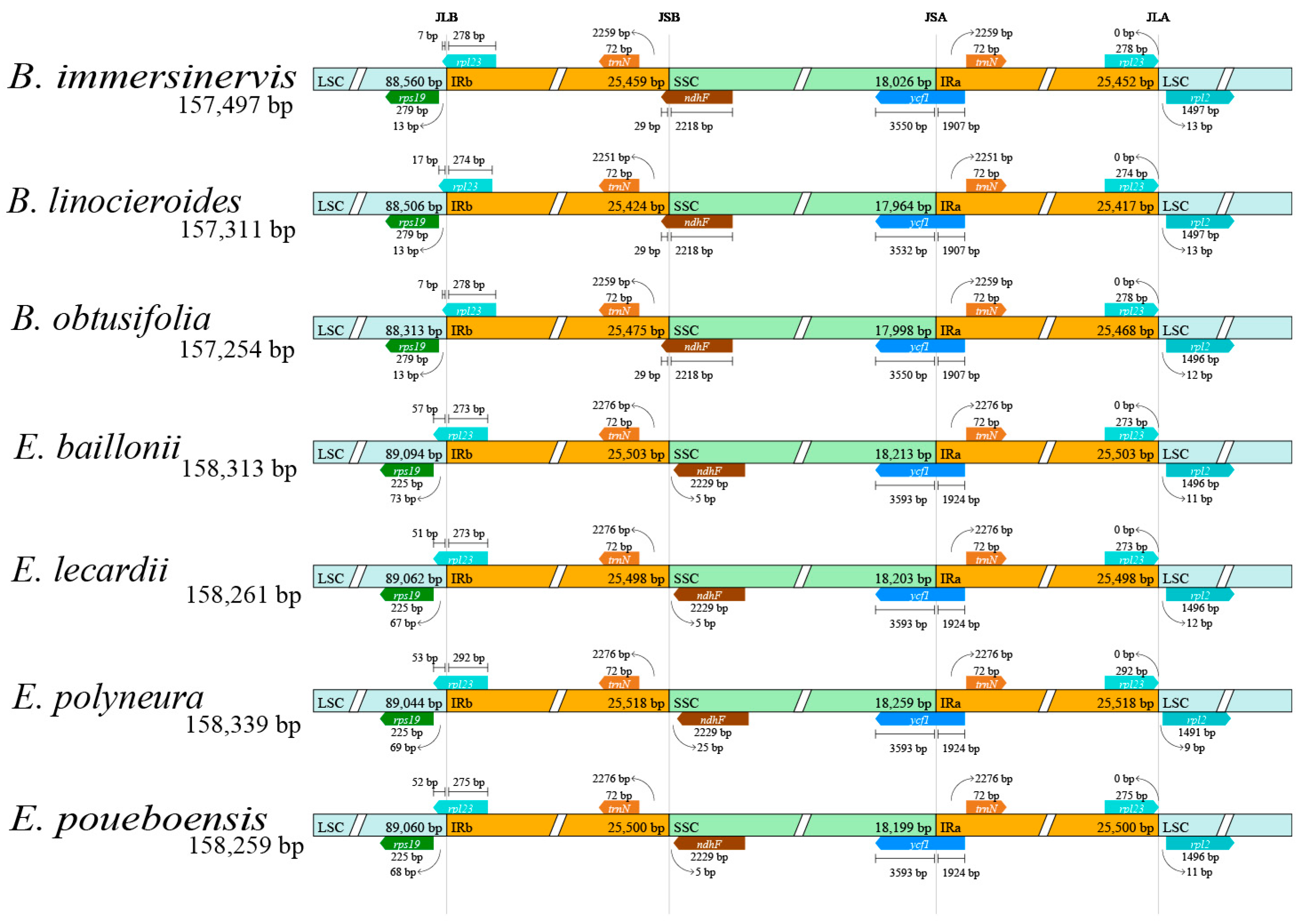 Forests 16 00705 g007