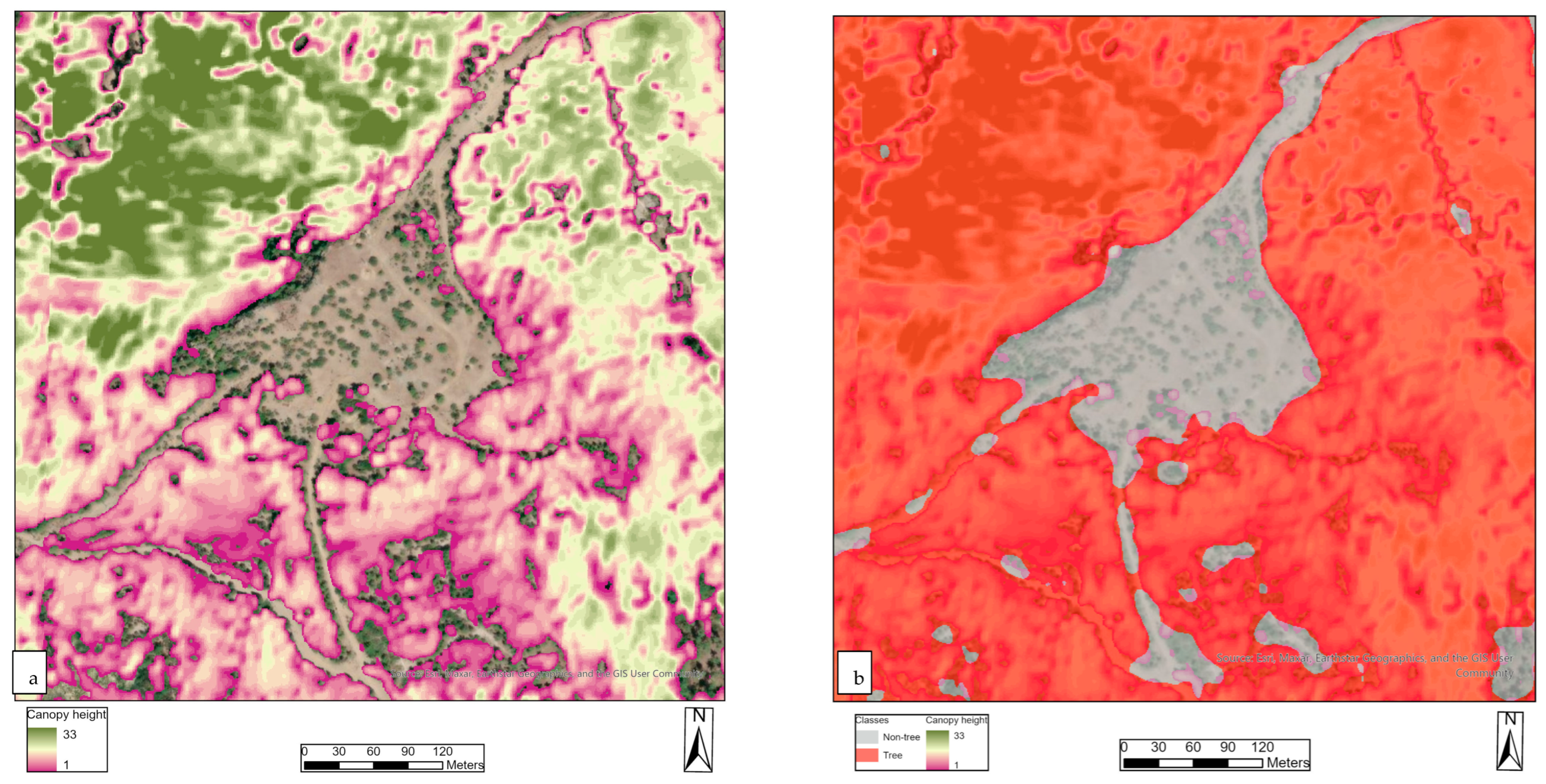 Forests 16 00709 g002