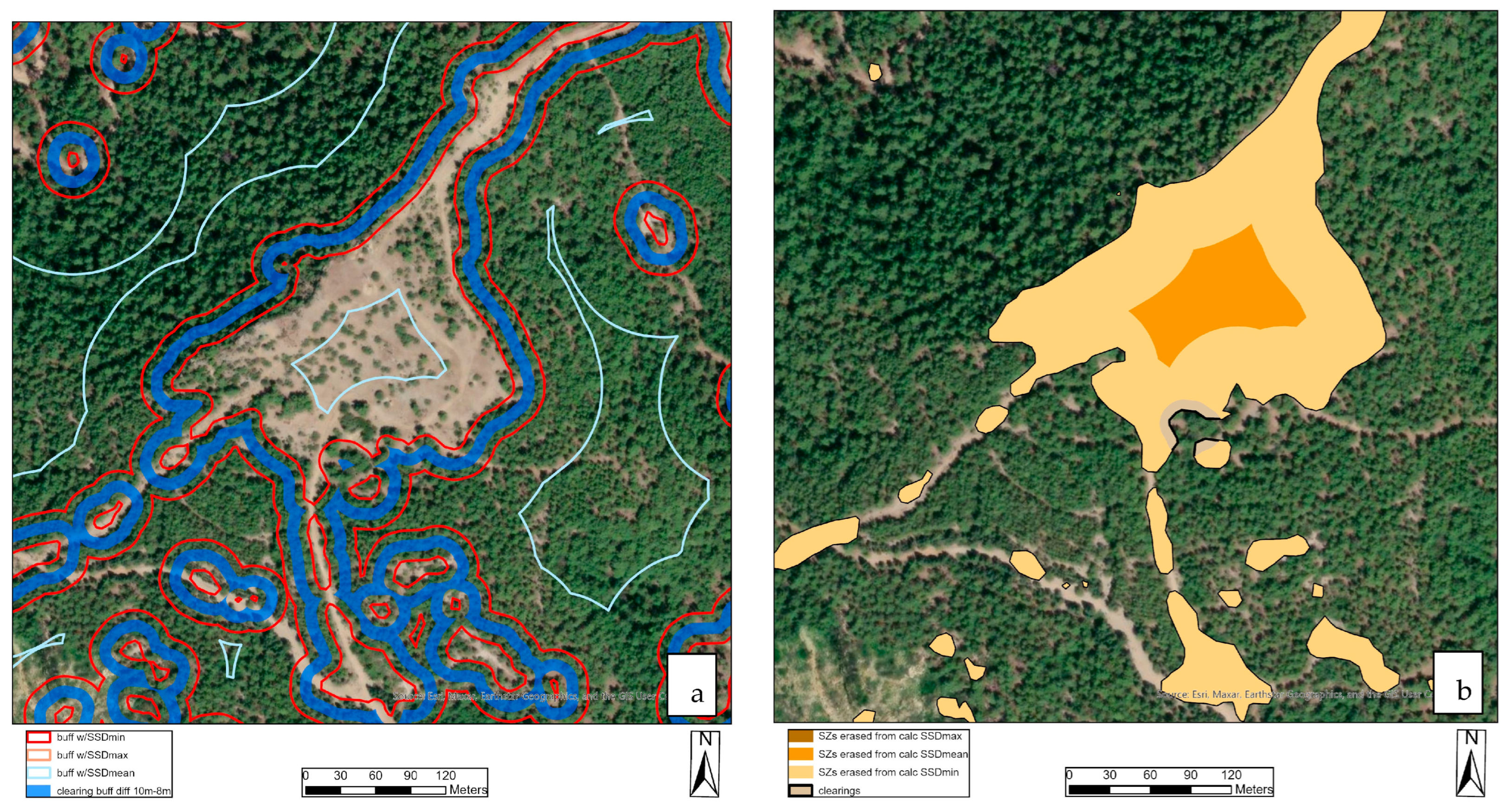 Forests 16 00709 g004