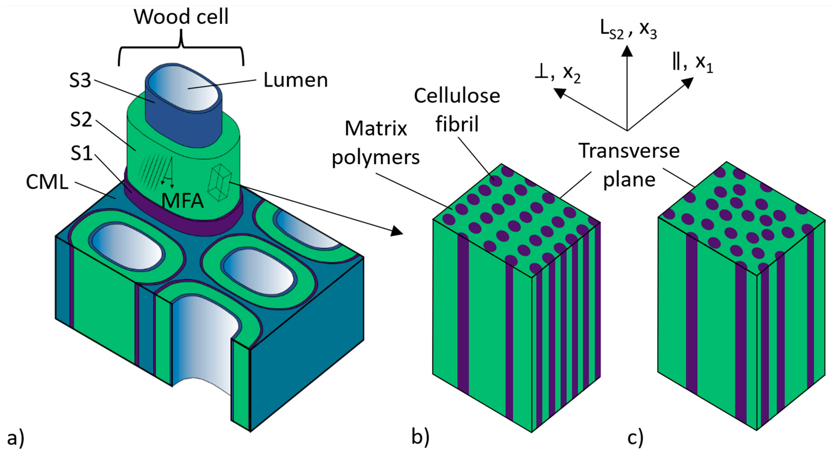 Forests 16 00712 g001 Forests 16 00712 g001