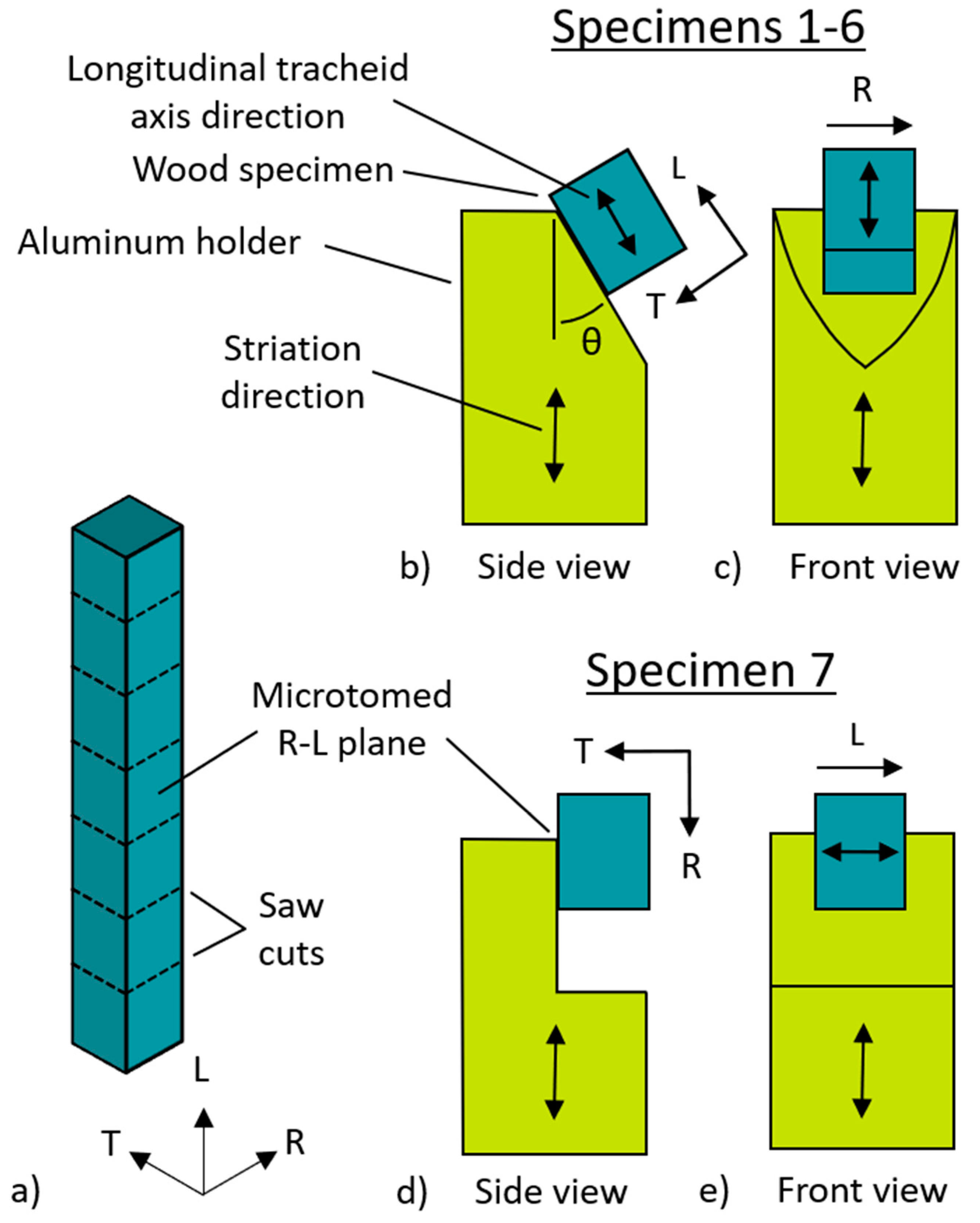 Forests 16 00712 g002 Forests 16 00712 g002