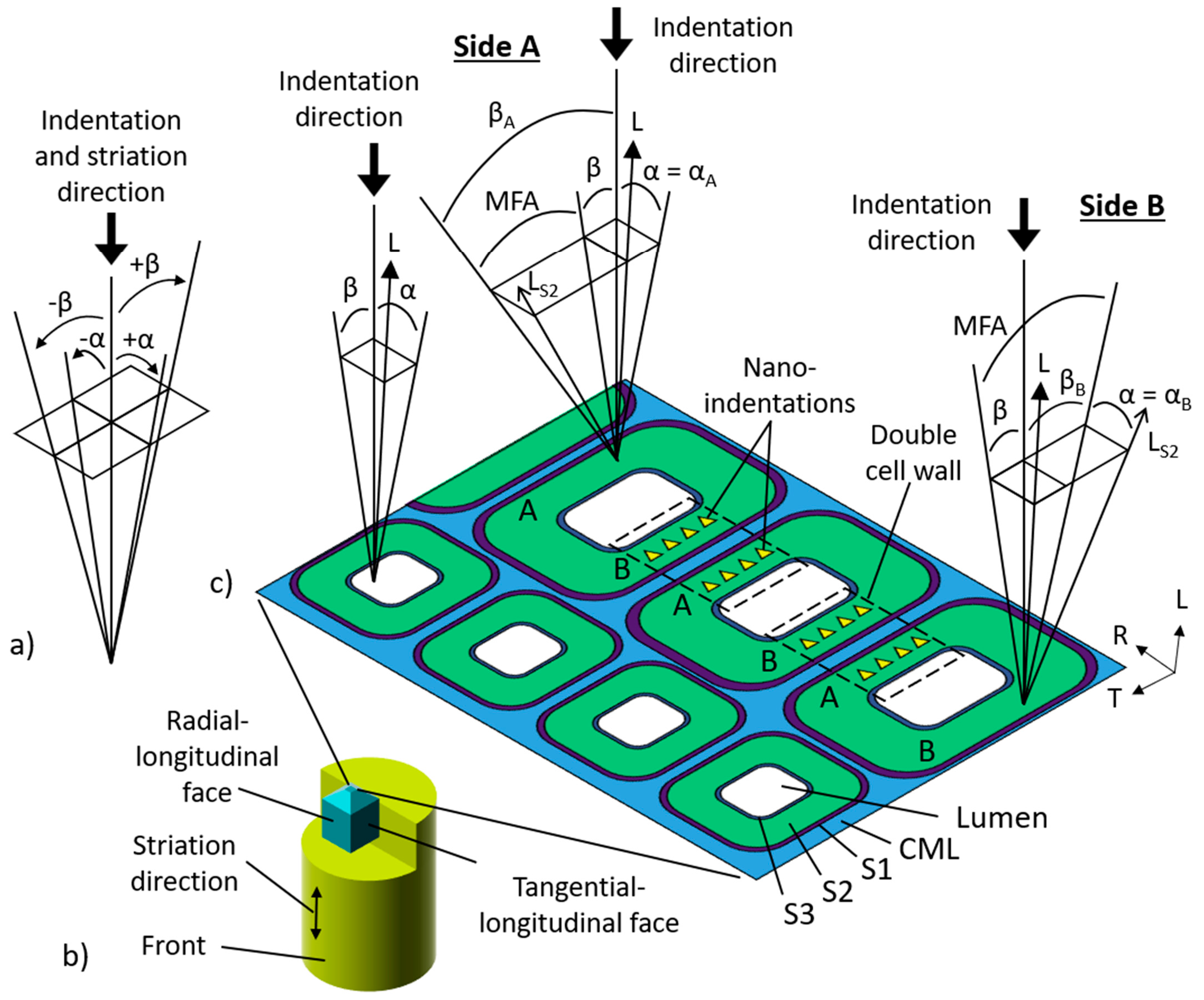 Forests 16 00712 g003 Forests 16 00712 g003