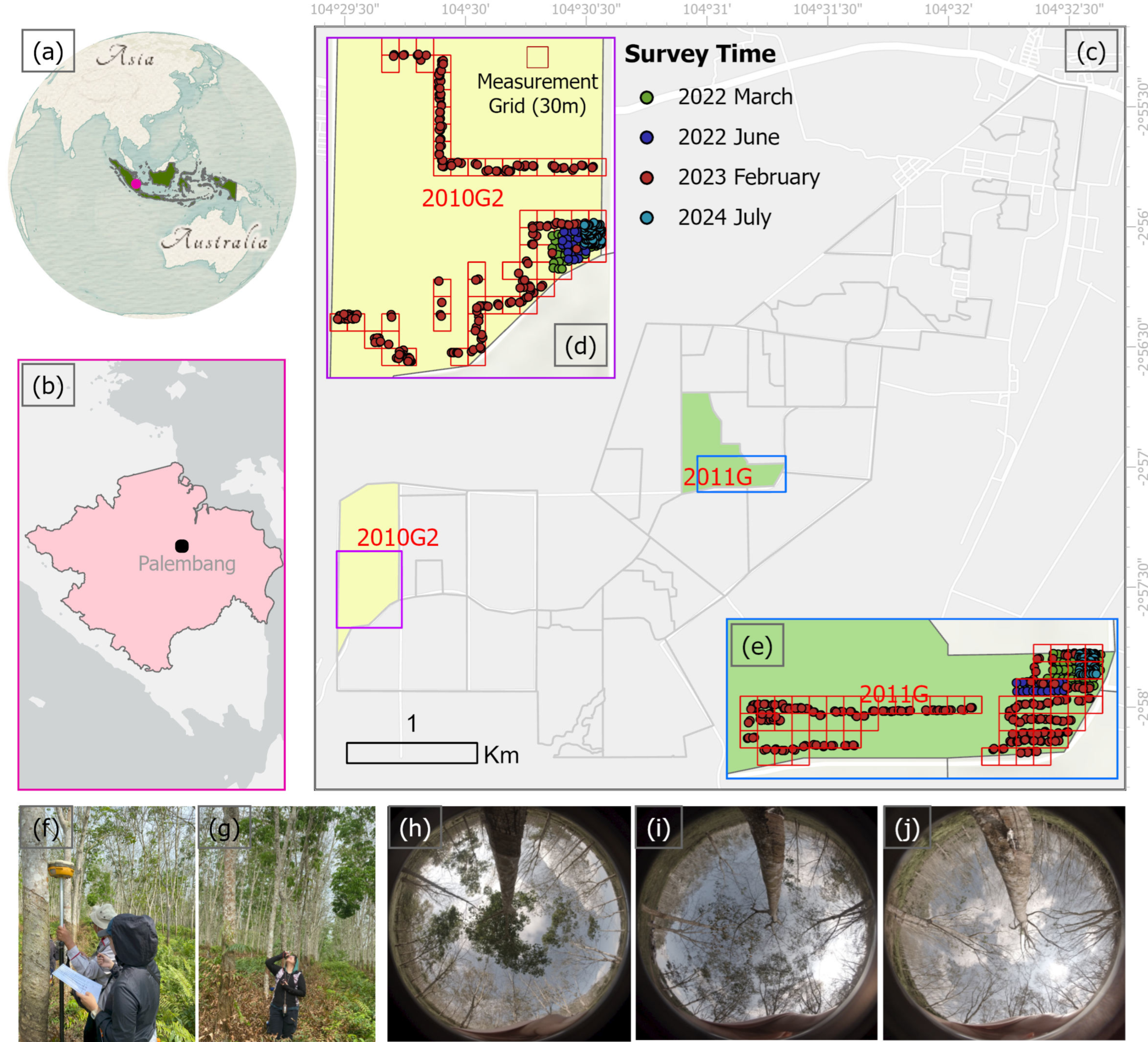 Forests 16 00717 g001