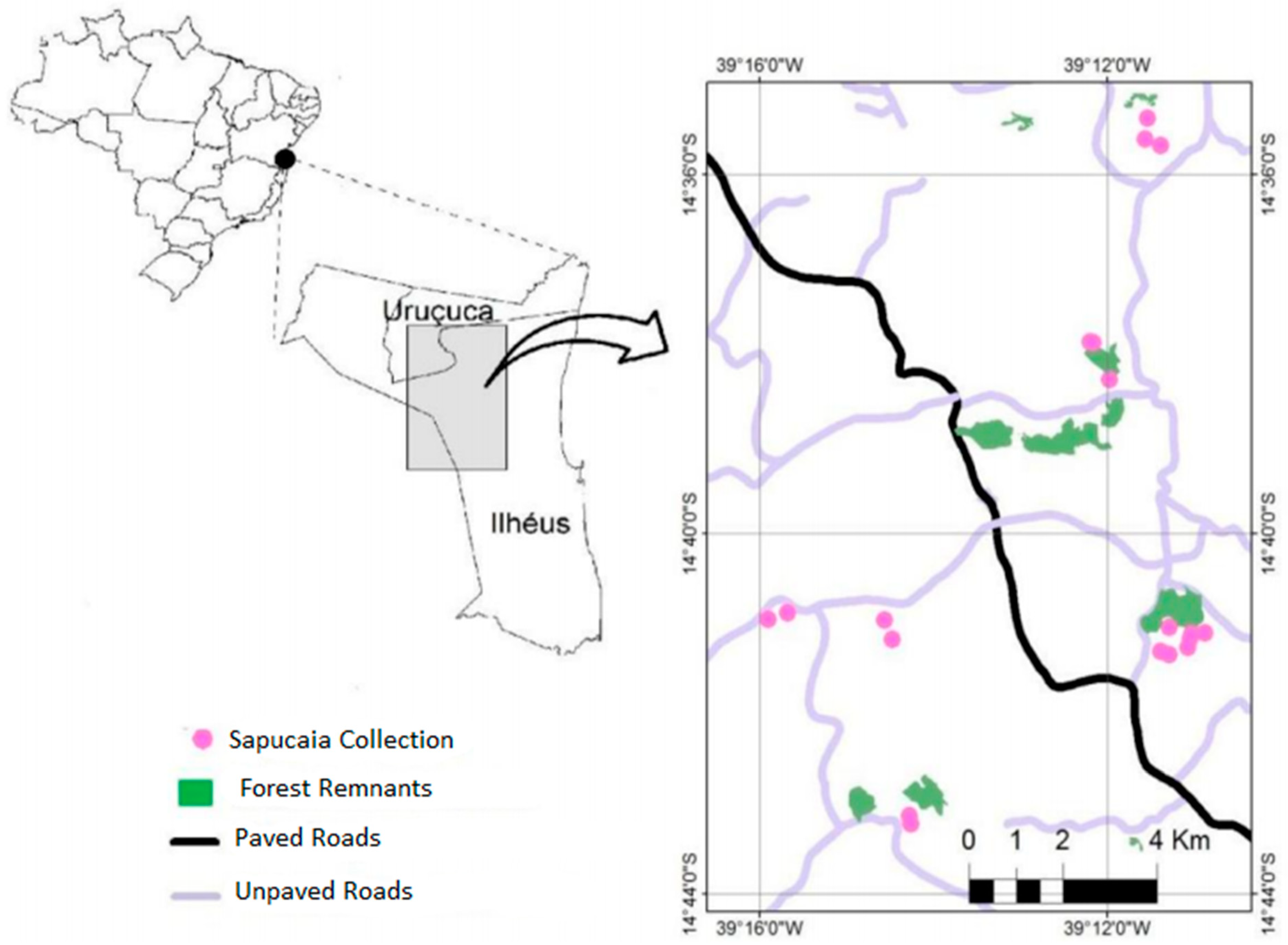 Forests 16 00718 g001