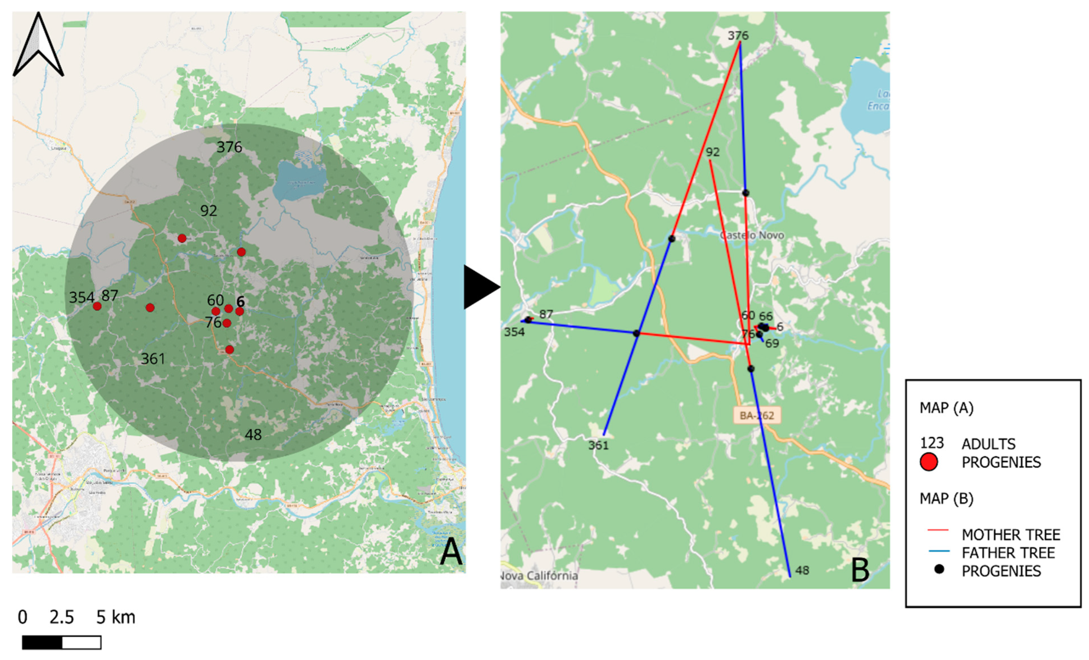 Forests 16 00718 g002
