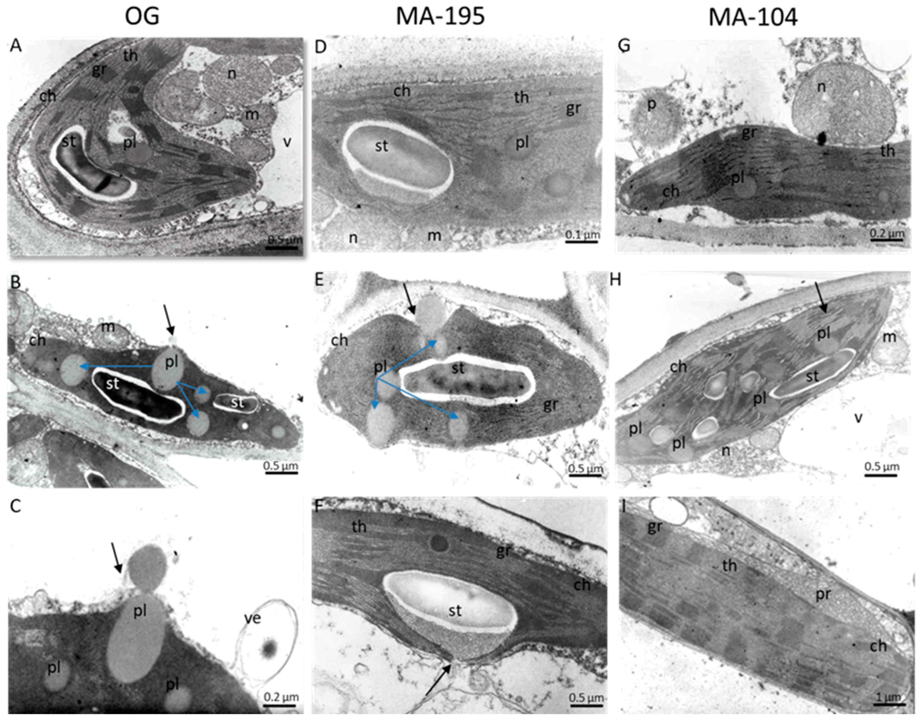 Forests 16 00721 g003 Forests 16 00721 g003