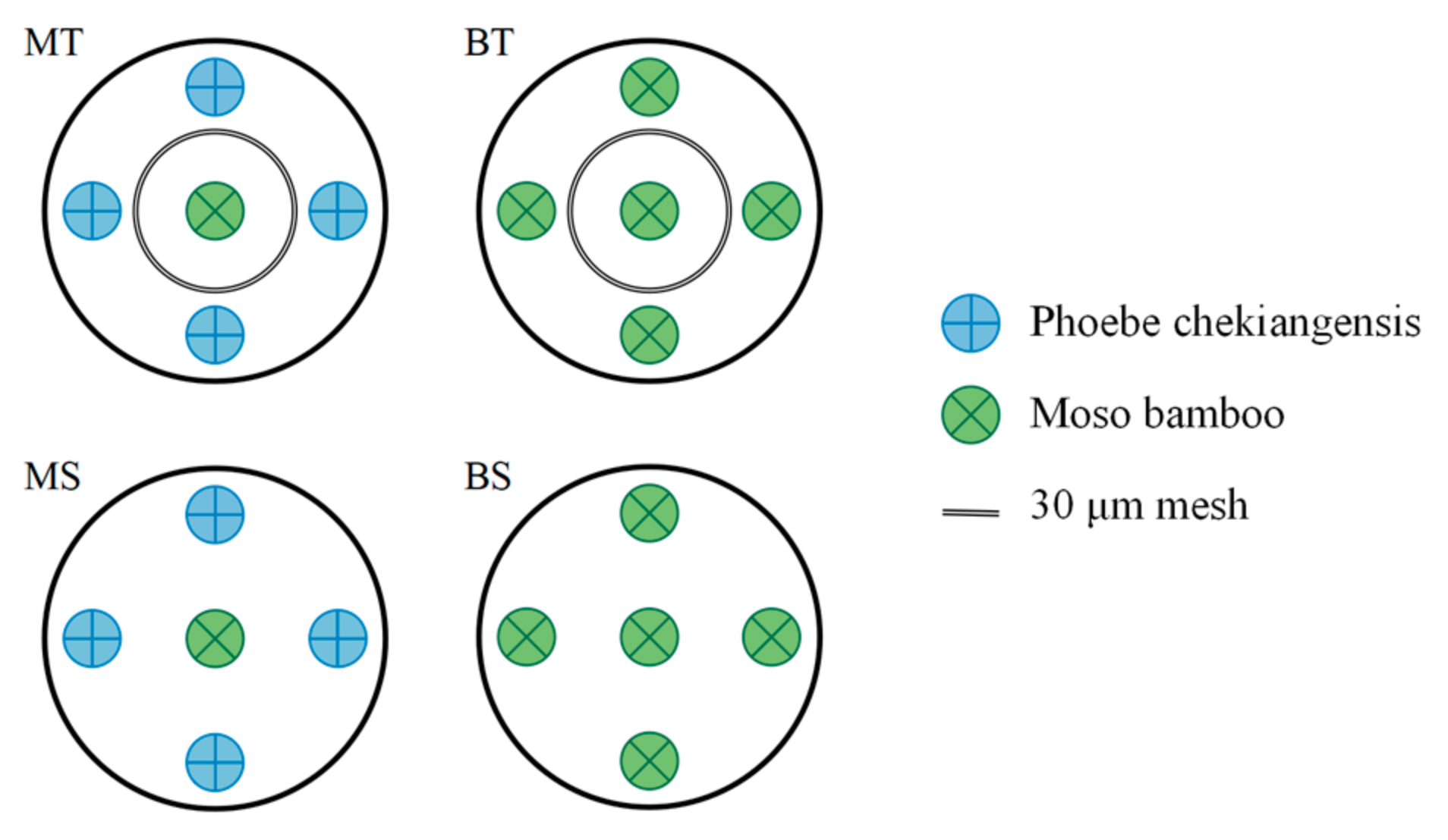 Forests 16 00722 g001