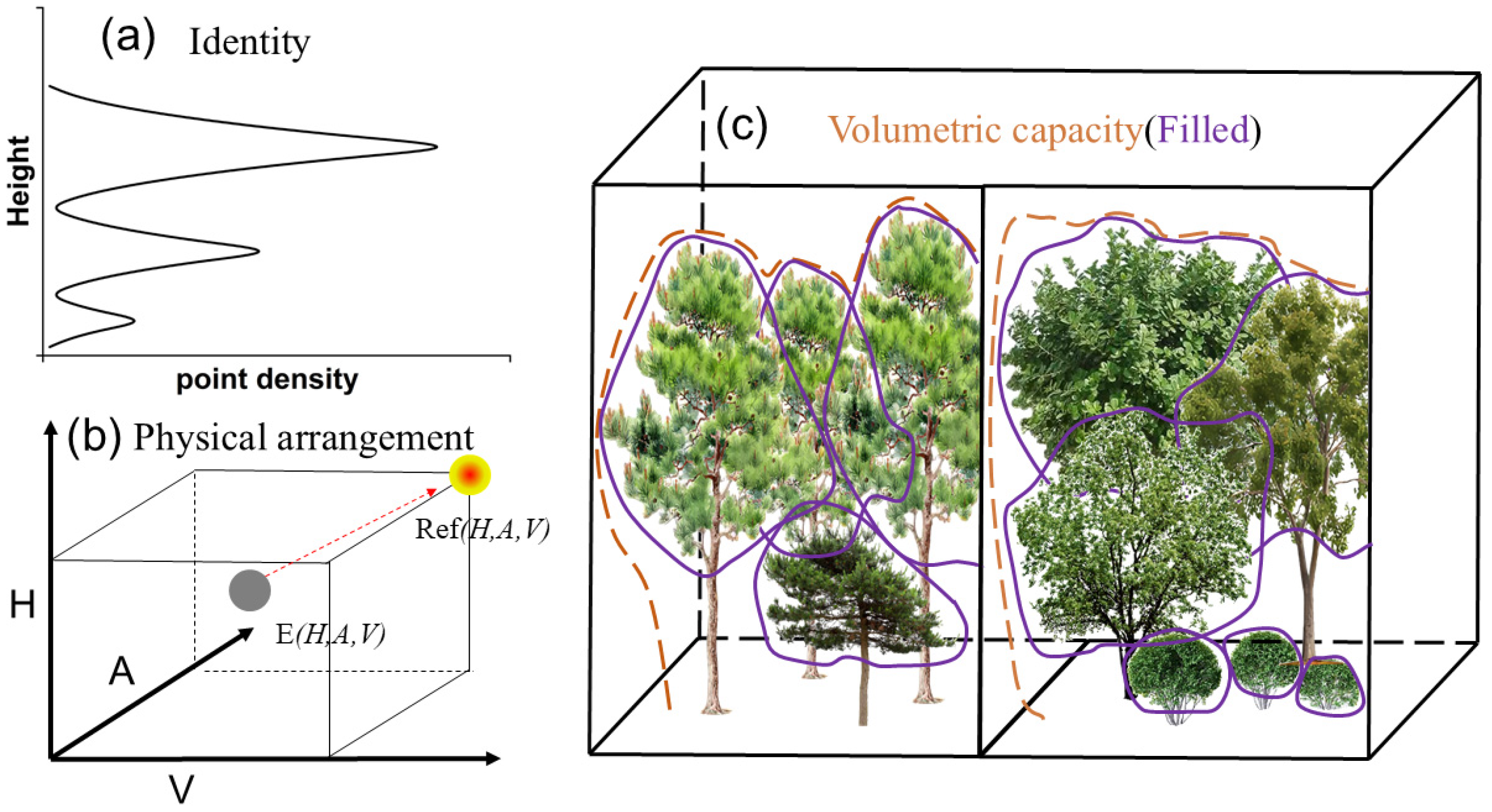 Forests 16 00723 g002