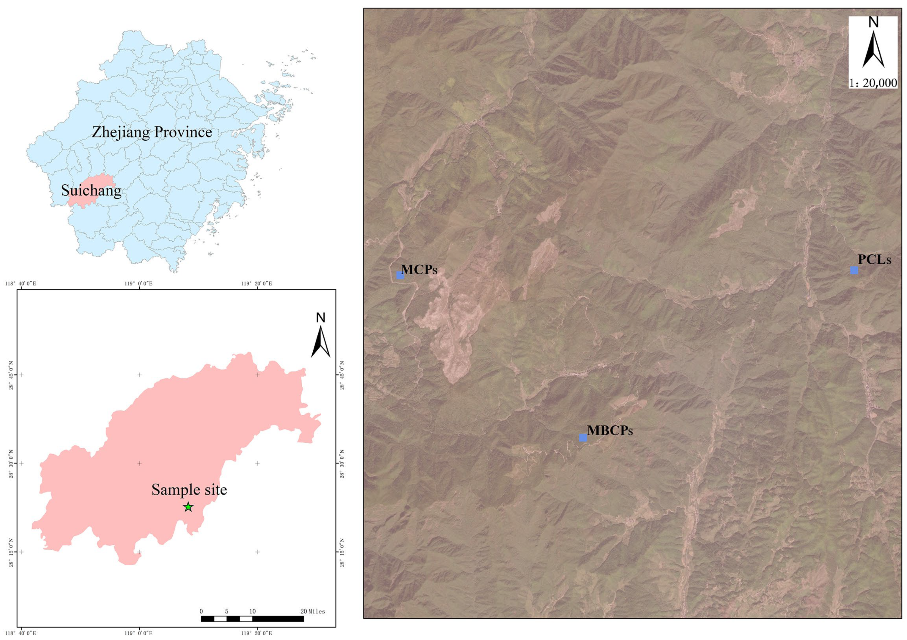 Forests 16 00738 g001