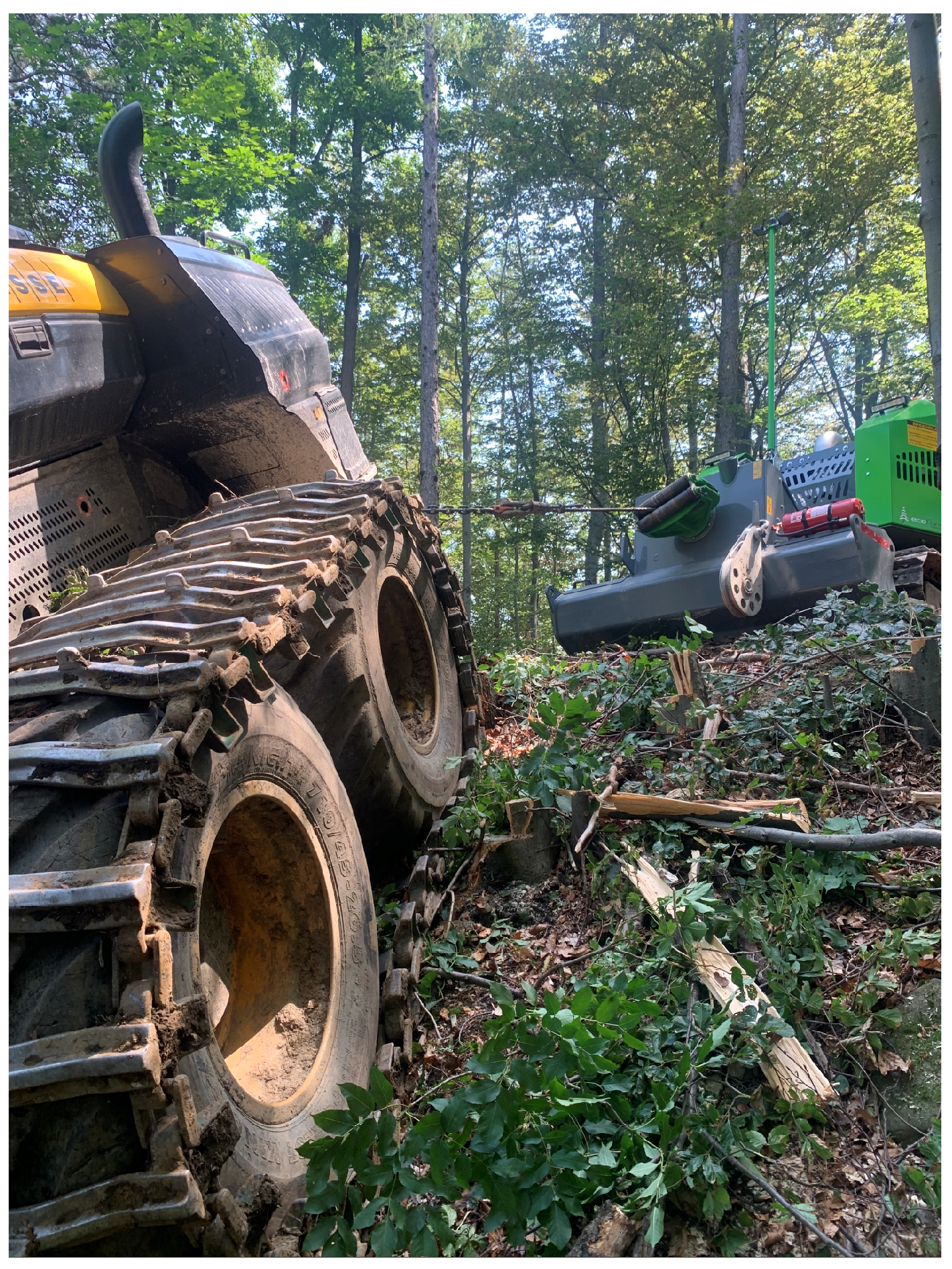 Forests 16 00741 g001