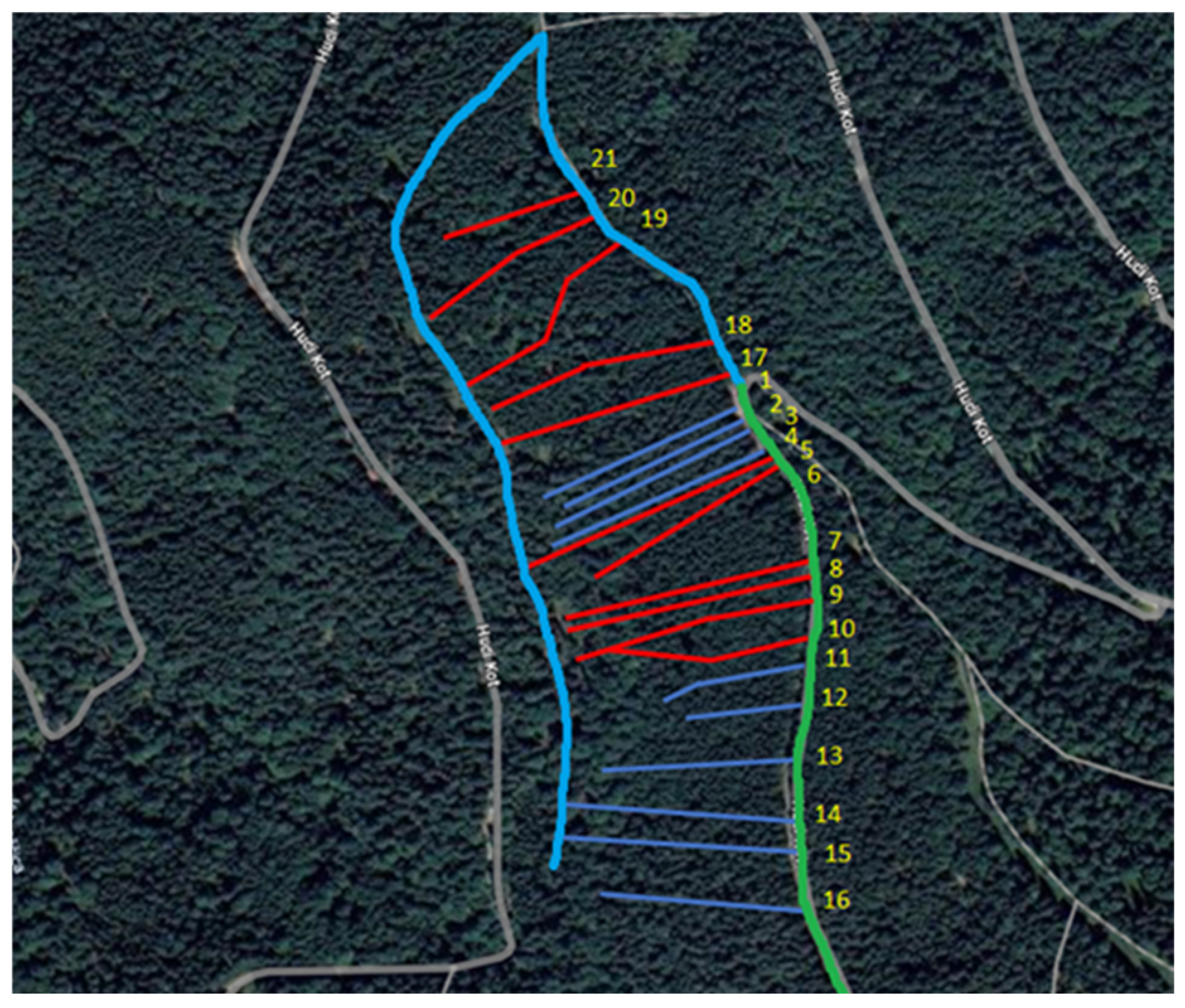 Forests 16 00741 g002