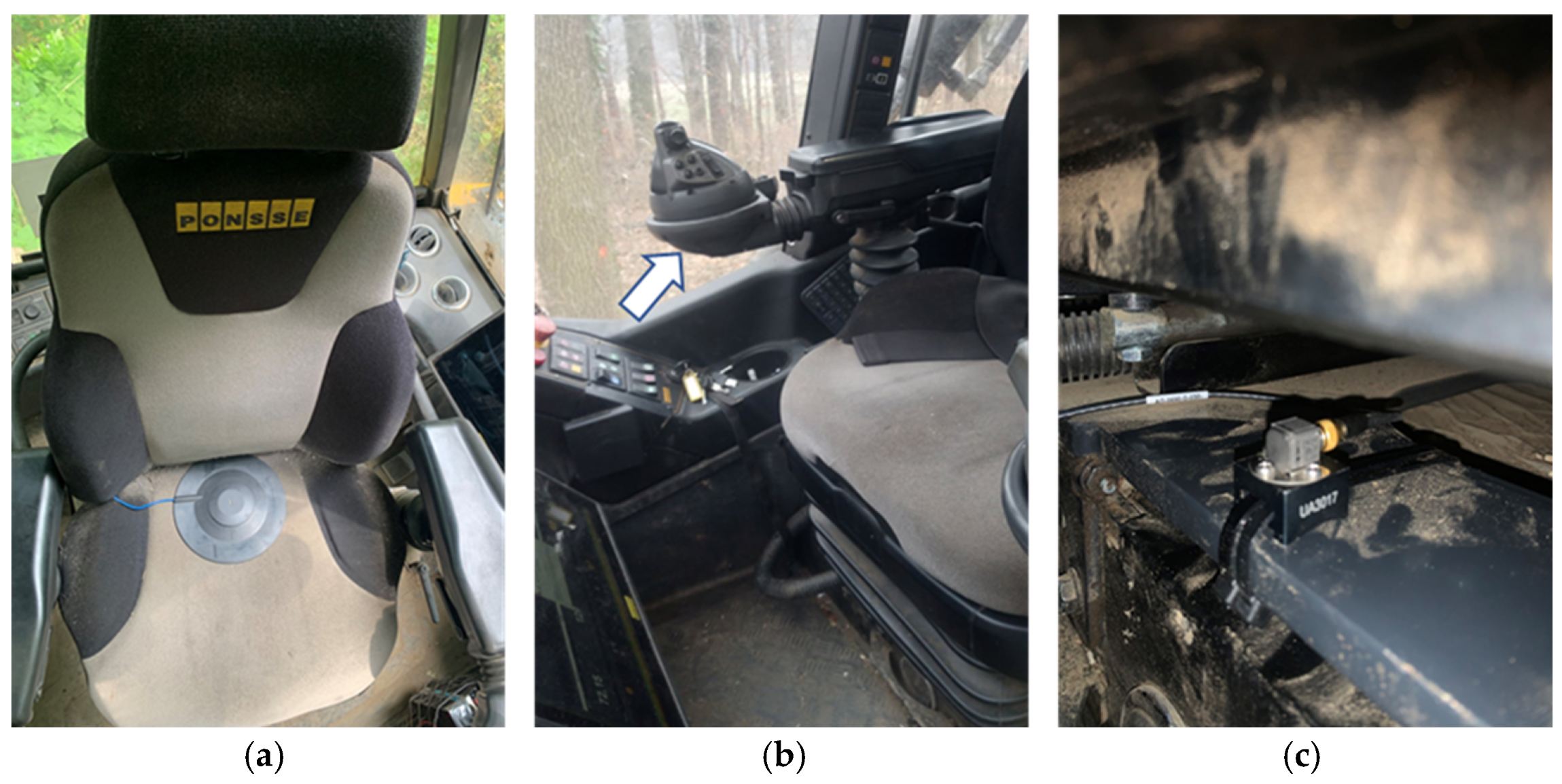 Forests 16 00741 g003