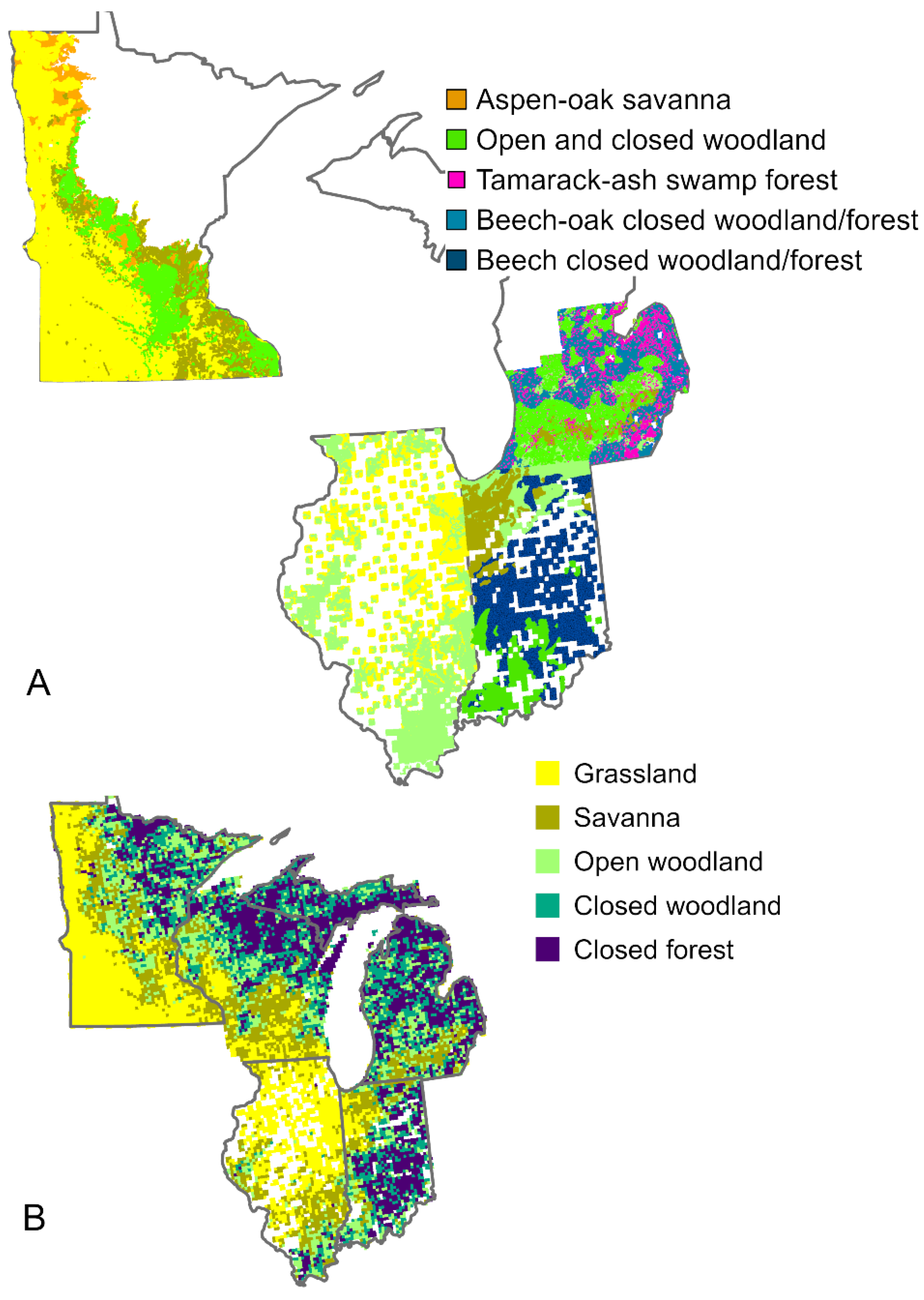 Forests 16 00748 g004