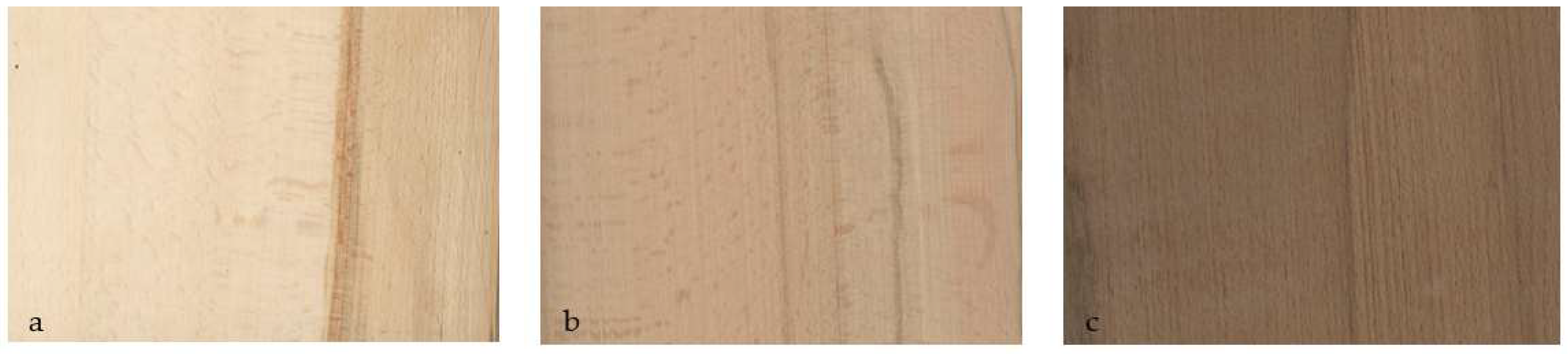 Forests 16 00864 g003