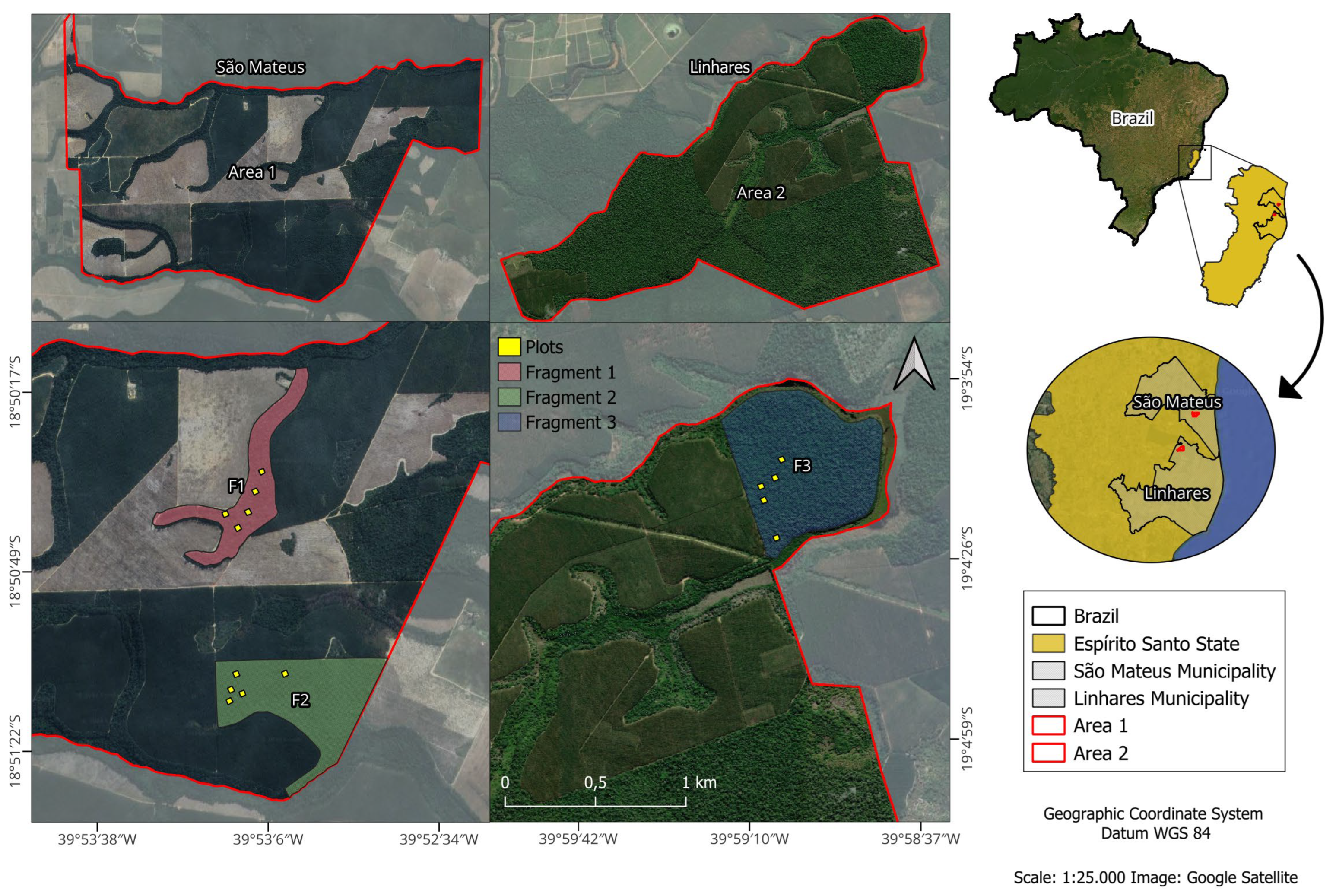 Forests 16 01169 g001 Forests 16 01169 g001
