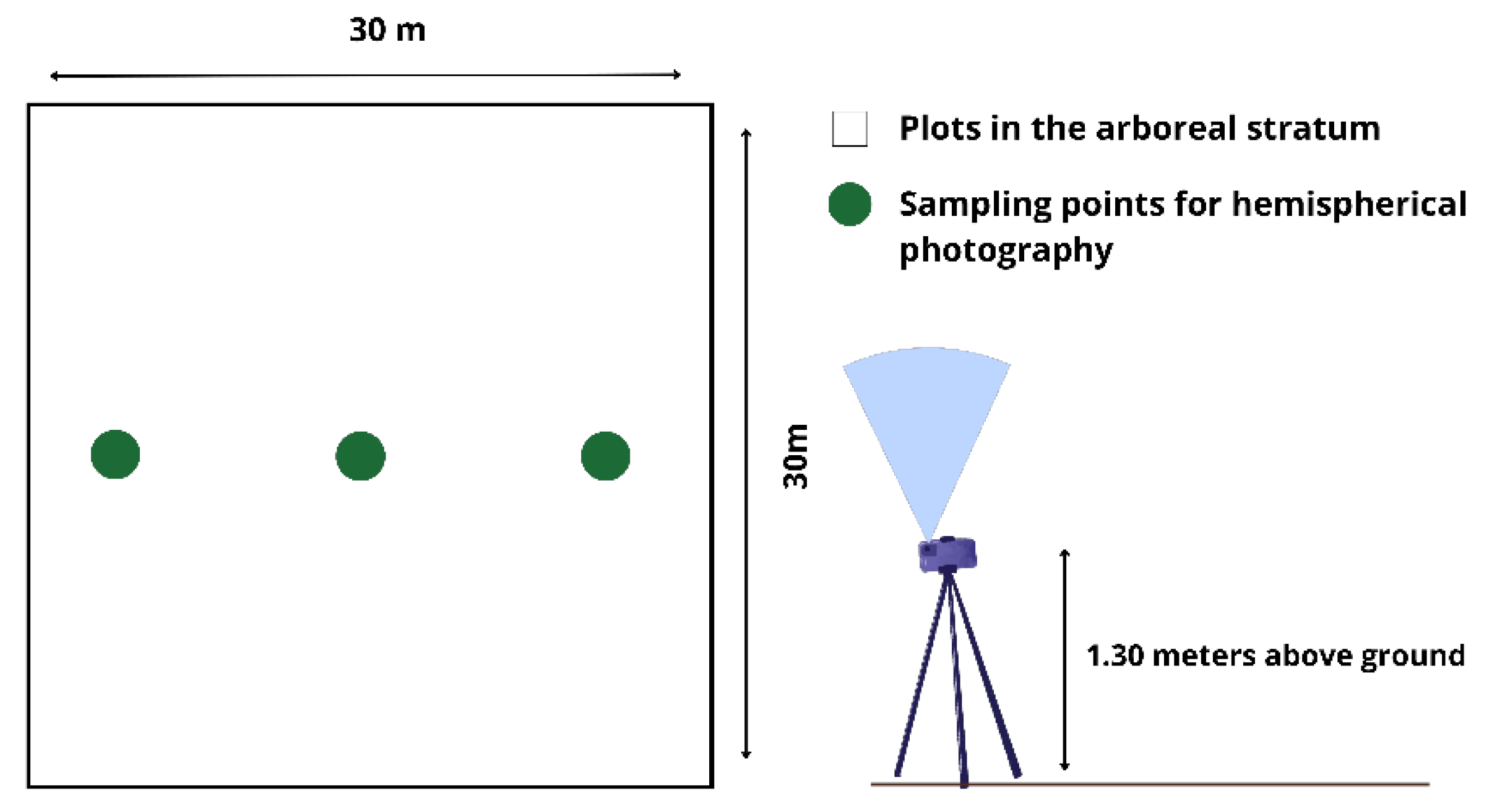 Forests 16 01169 g004 Forests 16 01169 g004