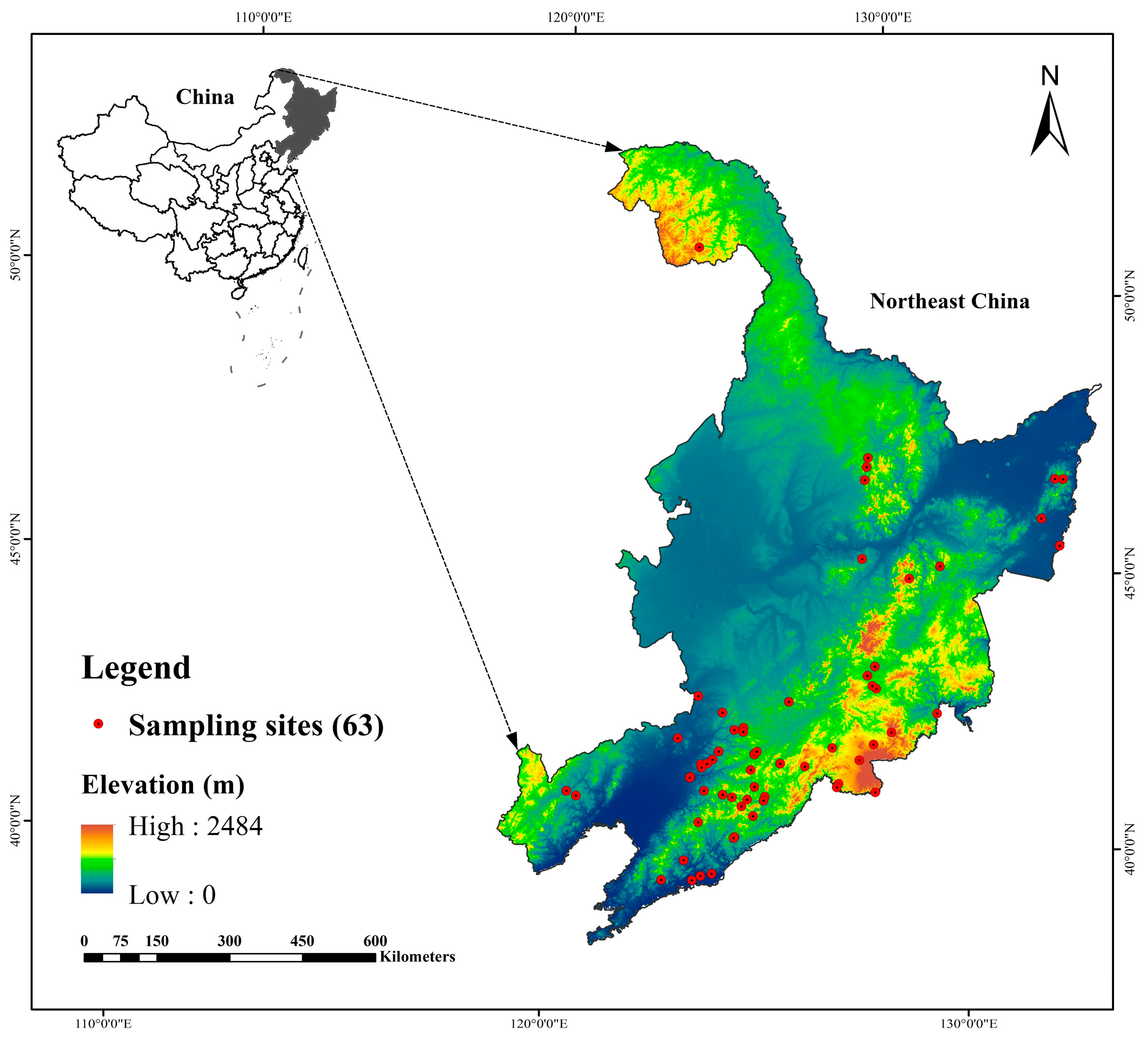 Forests 16 01209 g001