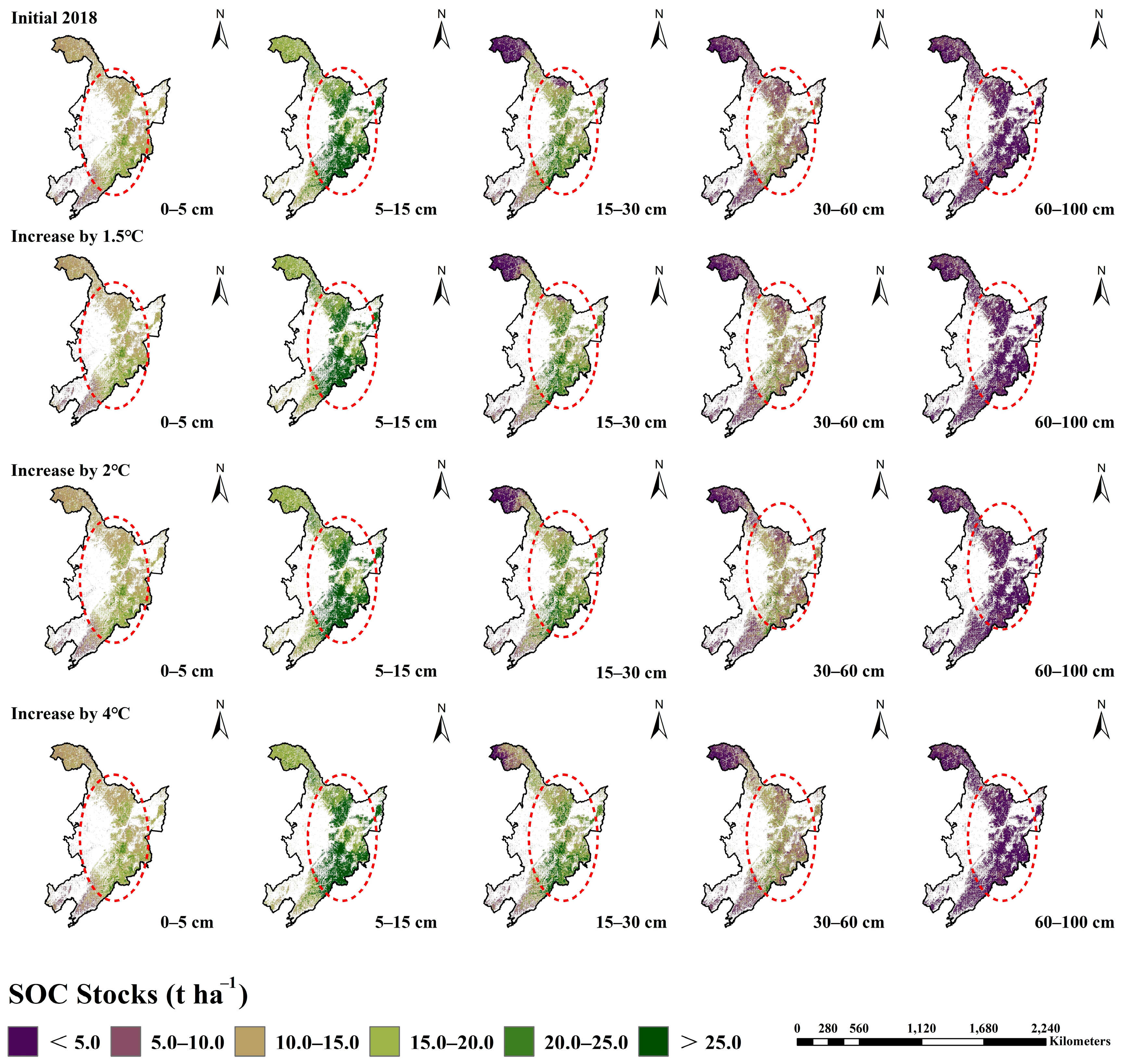 Forests 16 01209 g004