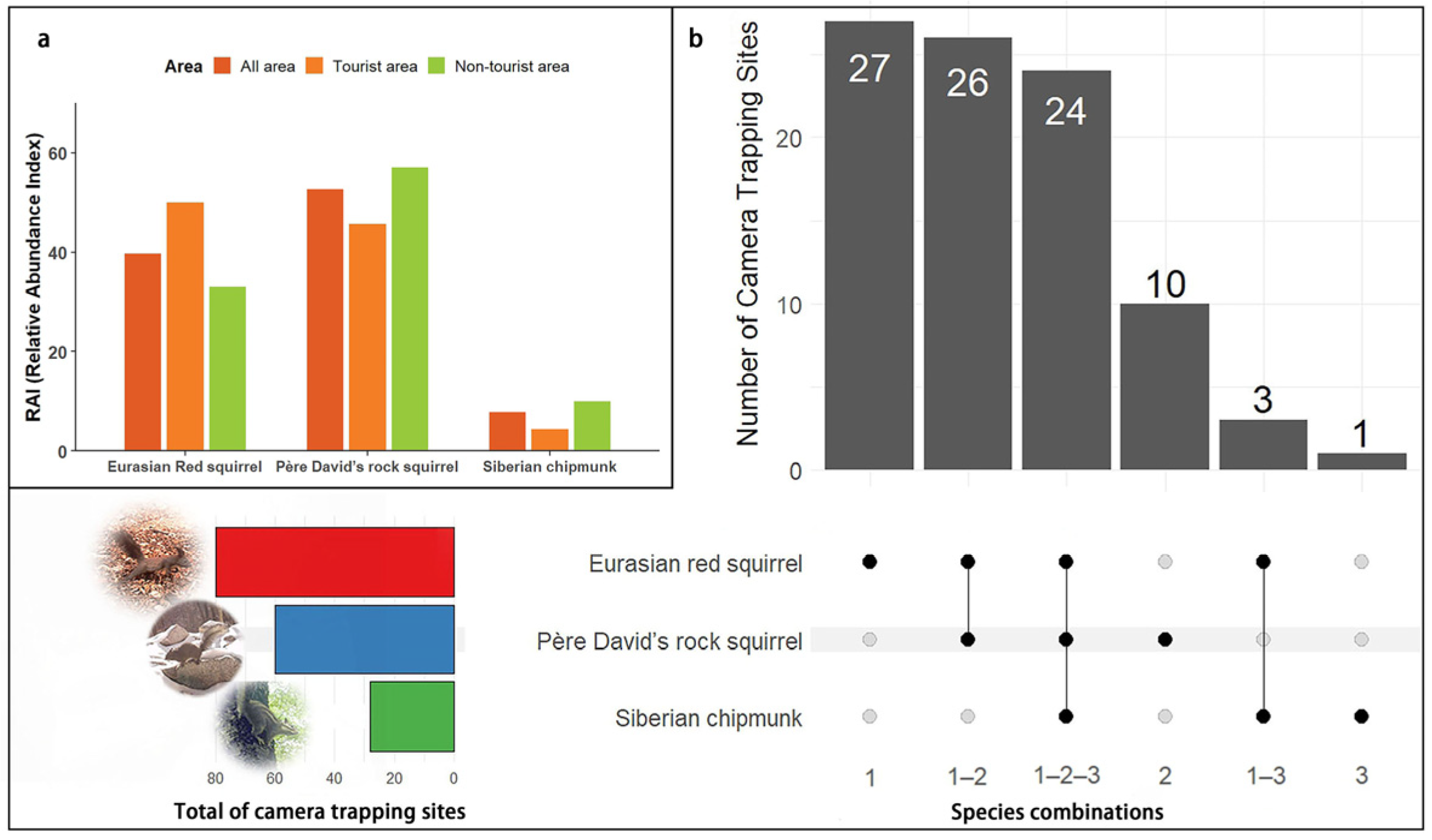 Forests 16 01360 g002 Forests 16 01360 g002